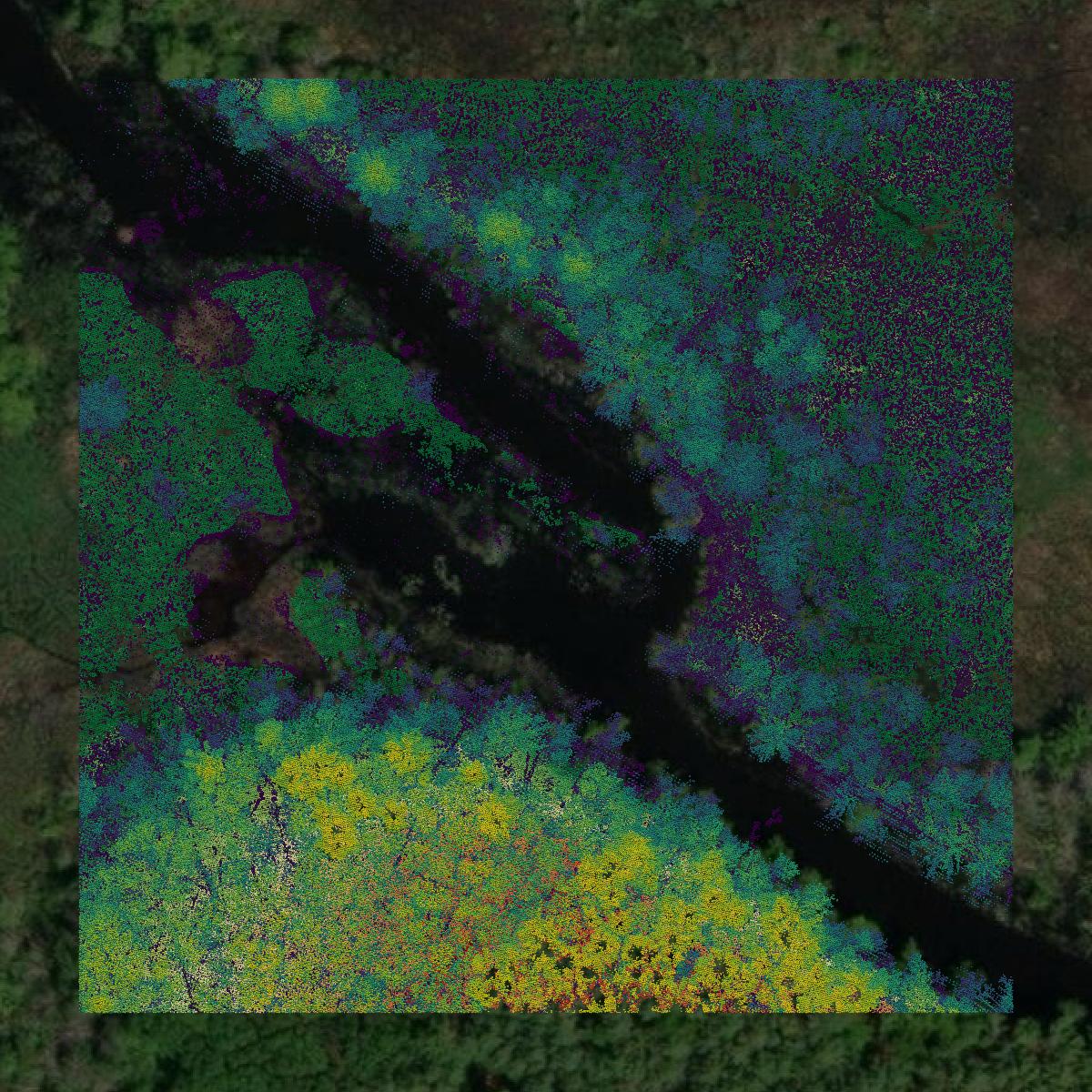 This image shows a LiDAR point cloud in Essex County created using GIS data in Equator.