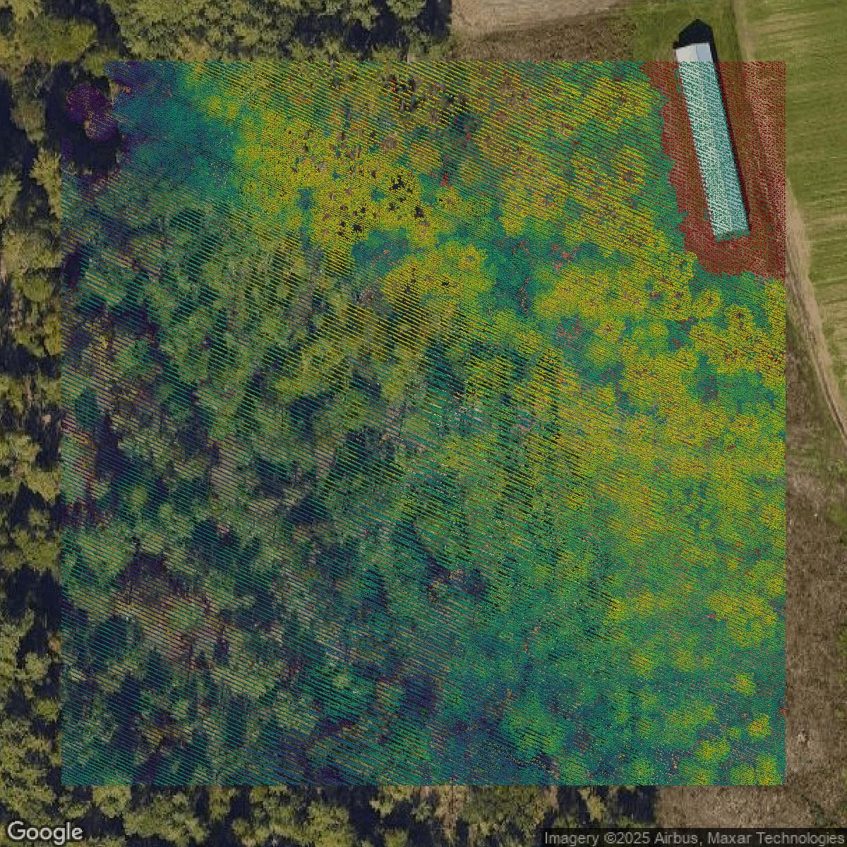 This image shows a LiDAR point cloud in Hampden County created using GIS data in Equator.