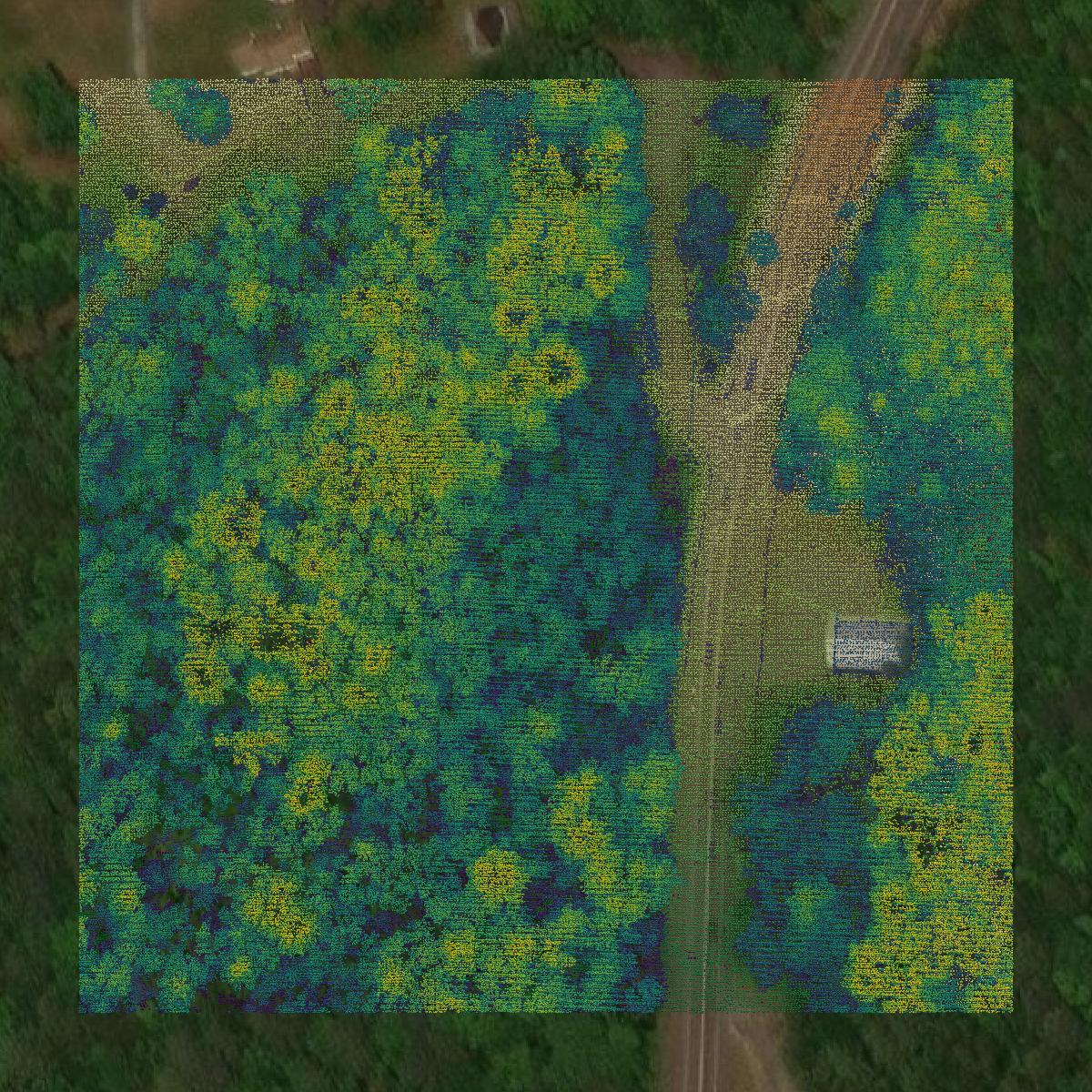 This image shows a LiDAR point cloud in Hampshire County created using GIS data in Equator.