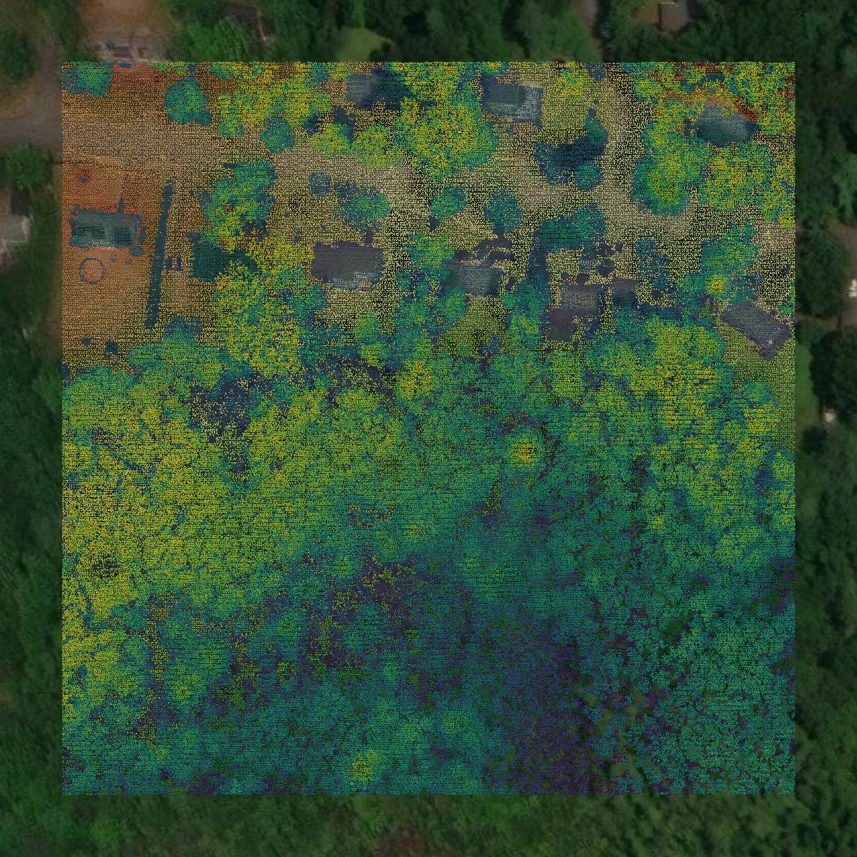 This image shows a LiDAR point cloud in Hampshire County created using GIS data in Equator.