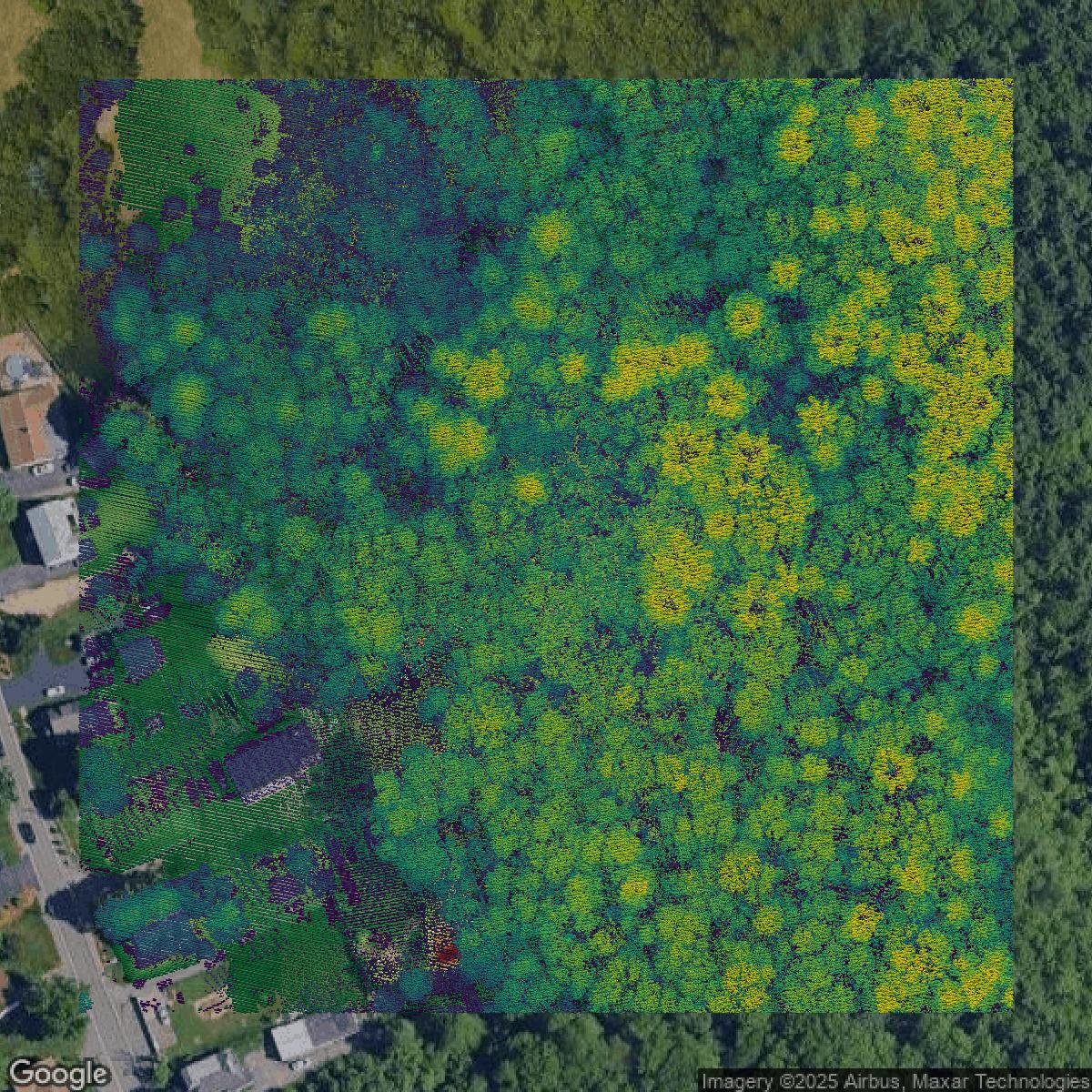 This image shows a LiDAR point cloud in Norfolk County created using GIS data in Equator.