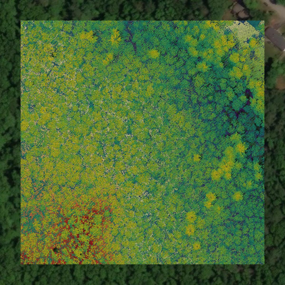 This image shows a LiDAR point cloud in Plymouth County created using GIS data in Equator.