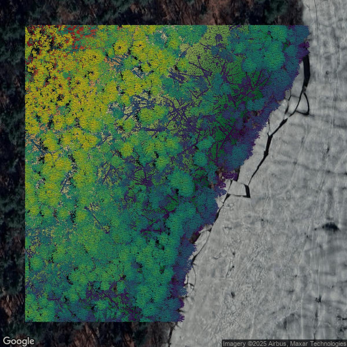 This image shows a LiDAR point cloud in Worcester County created using GIS data in Equator.