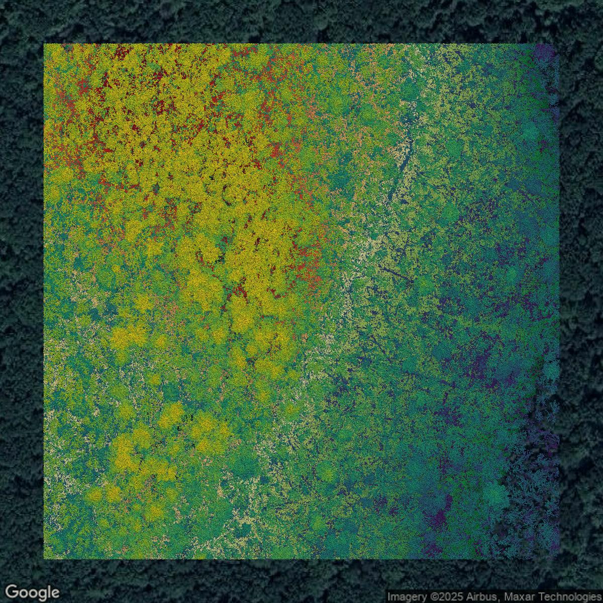 This image shows a LiDAR point cloud in Worcester County created using GIS data in Equator.