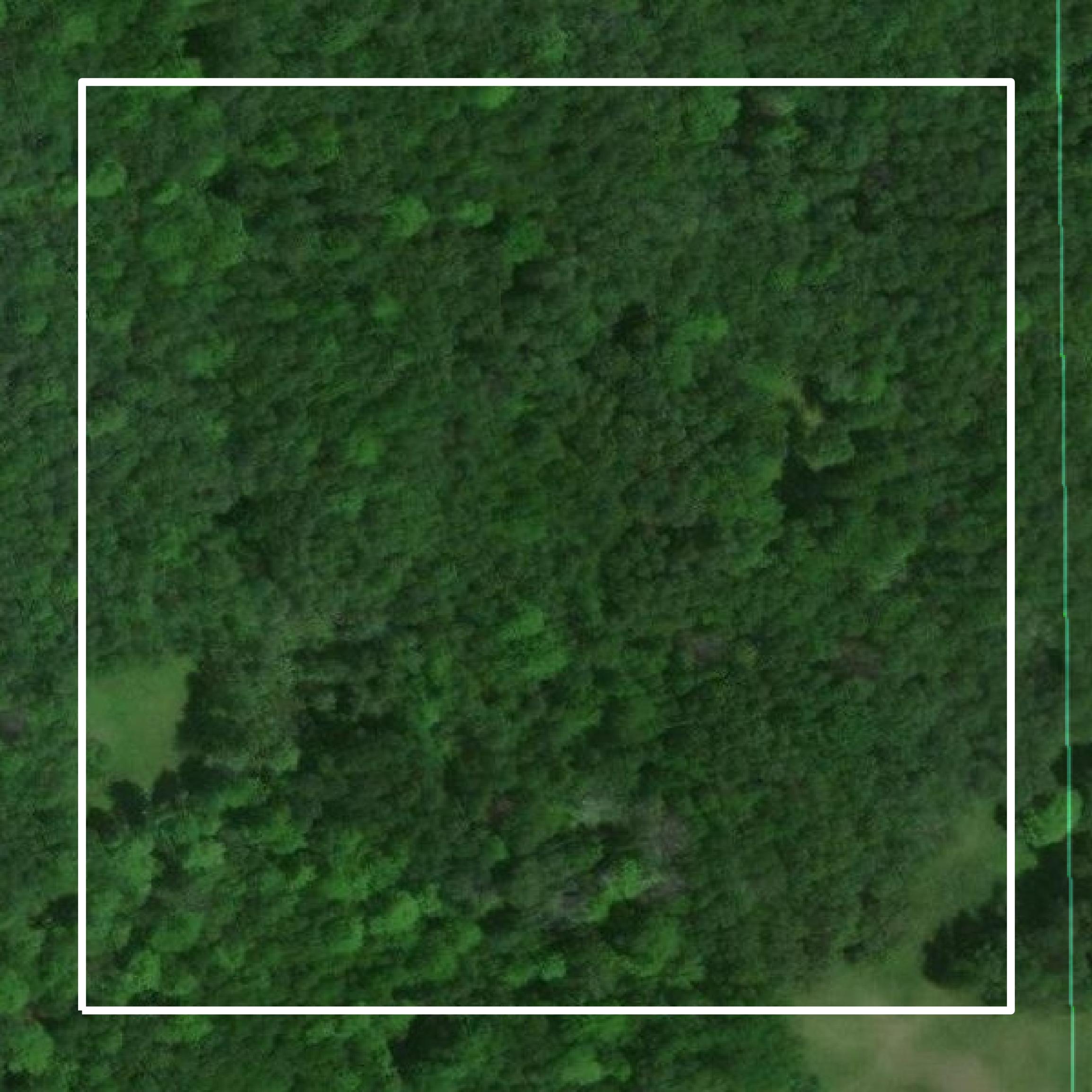 This image shows parcel and building data in Alcona County created using GIS data in Equator.