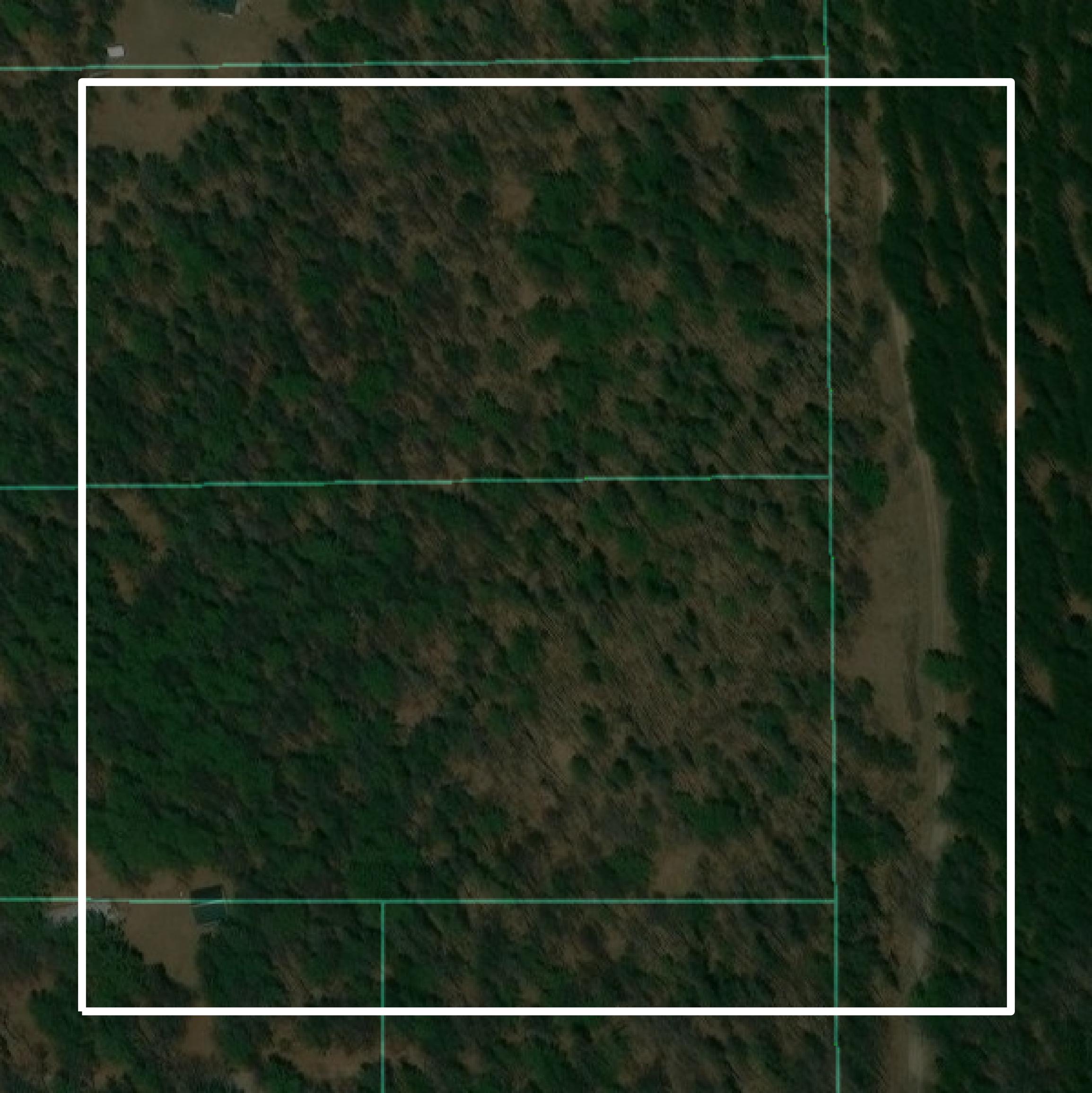 This image shows parcel and building data in Alcona County created using GIS data in Equator.