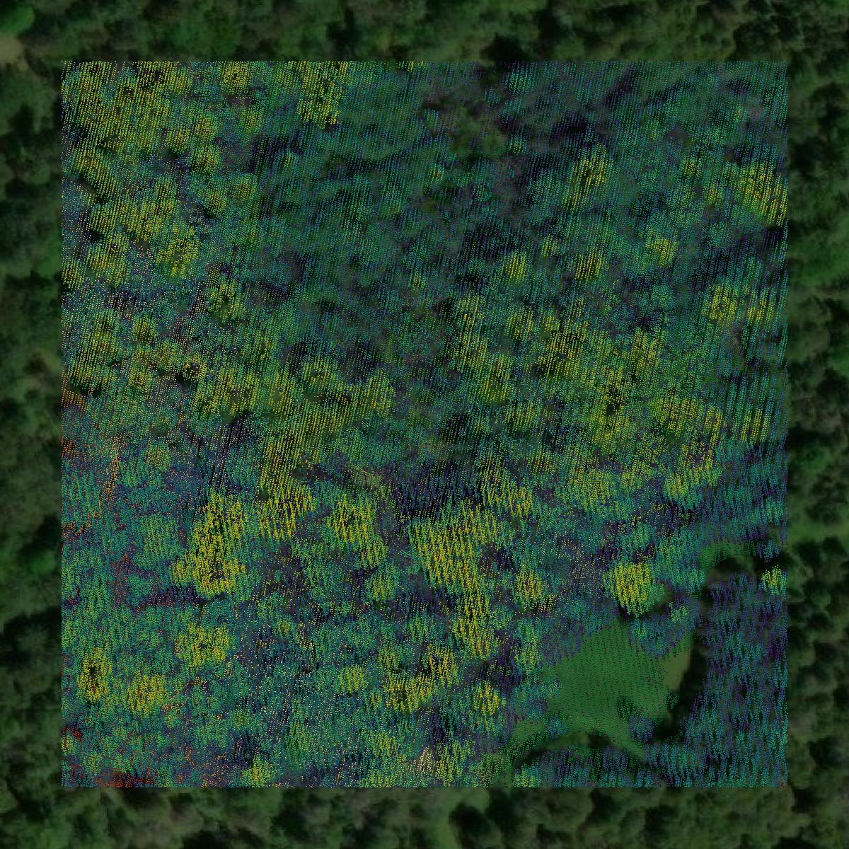 This image shows a LiDAR point cloud in Alcona County created using GIS data in Equator.