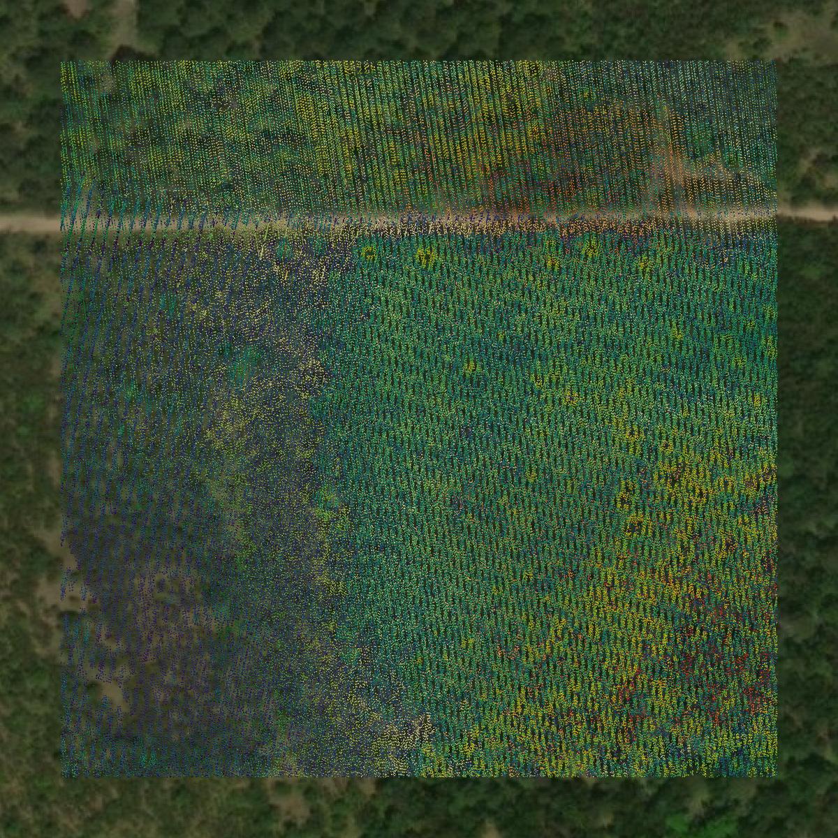 This image shows a LiDAR point cloud in Alcona County created using GIS data in Equator.
