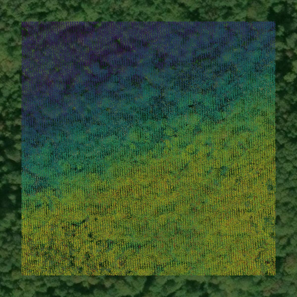 This image shows a LiDAR point cloud in Alger County created using GIS data in Equator.
