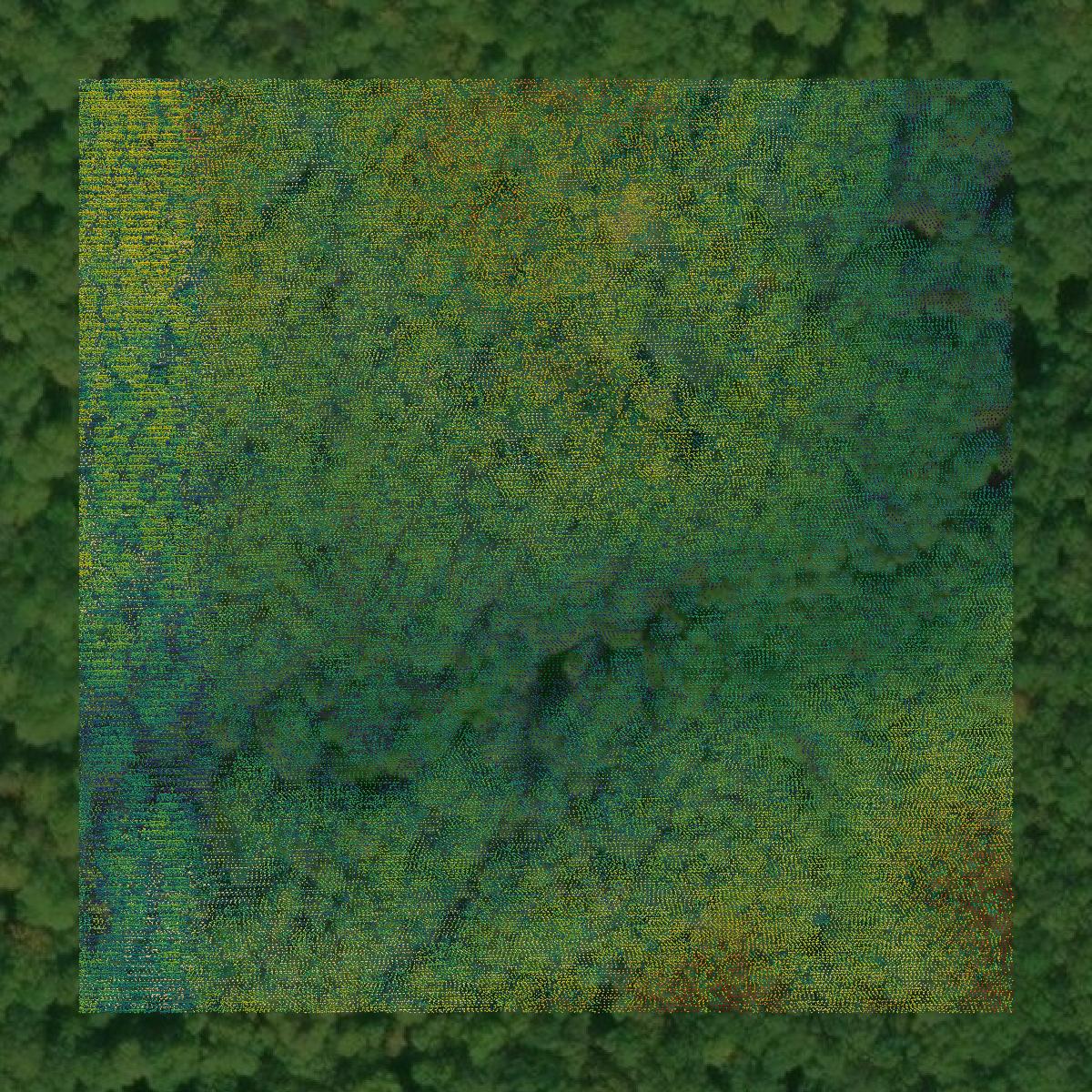 This image shows a LiDAR point cloud in Alger County created using GIS data in Equator.
