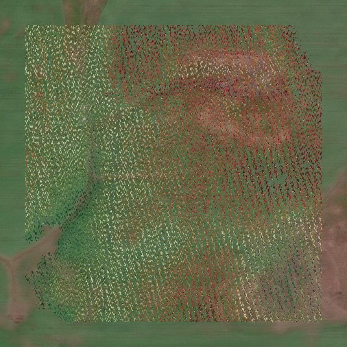 This image shows a LiDAR point cloud in Allegan County created using GIS data in Equator.
