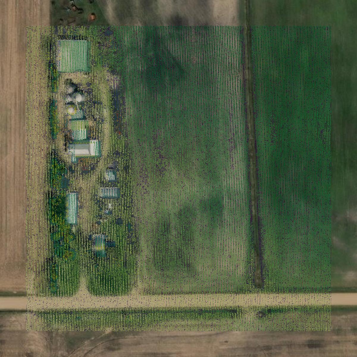 This image shows a LiDAR point cloud in Allegan County created using GIS data in Equator.