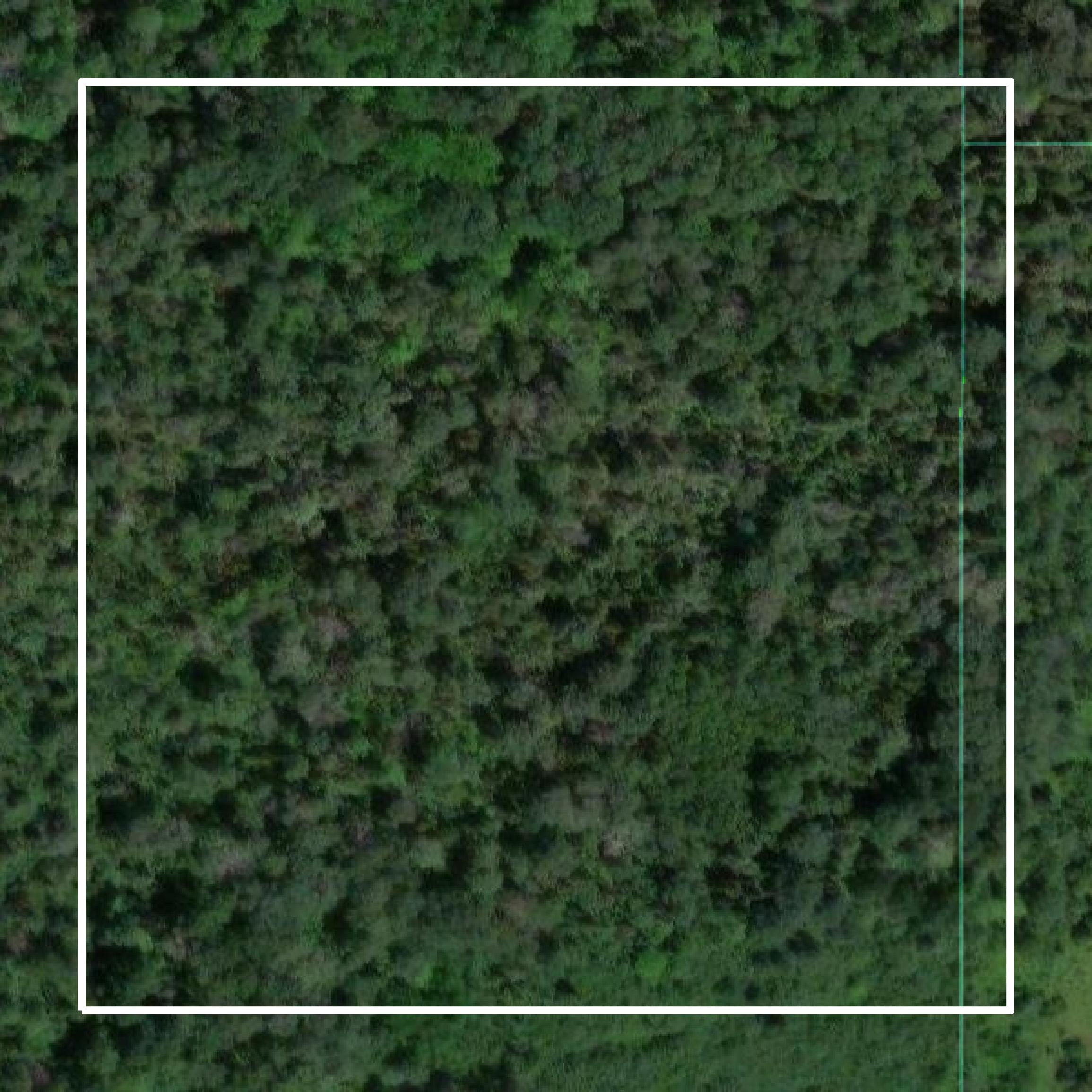 This image shows parcel and building data in Alpena County created using GIS data in Equator.