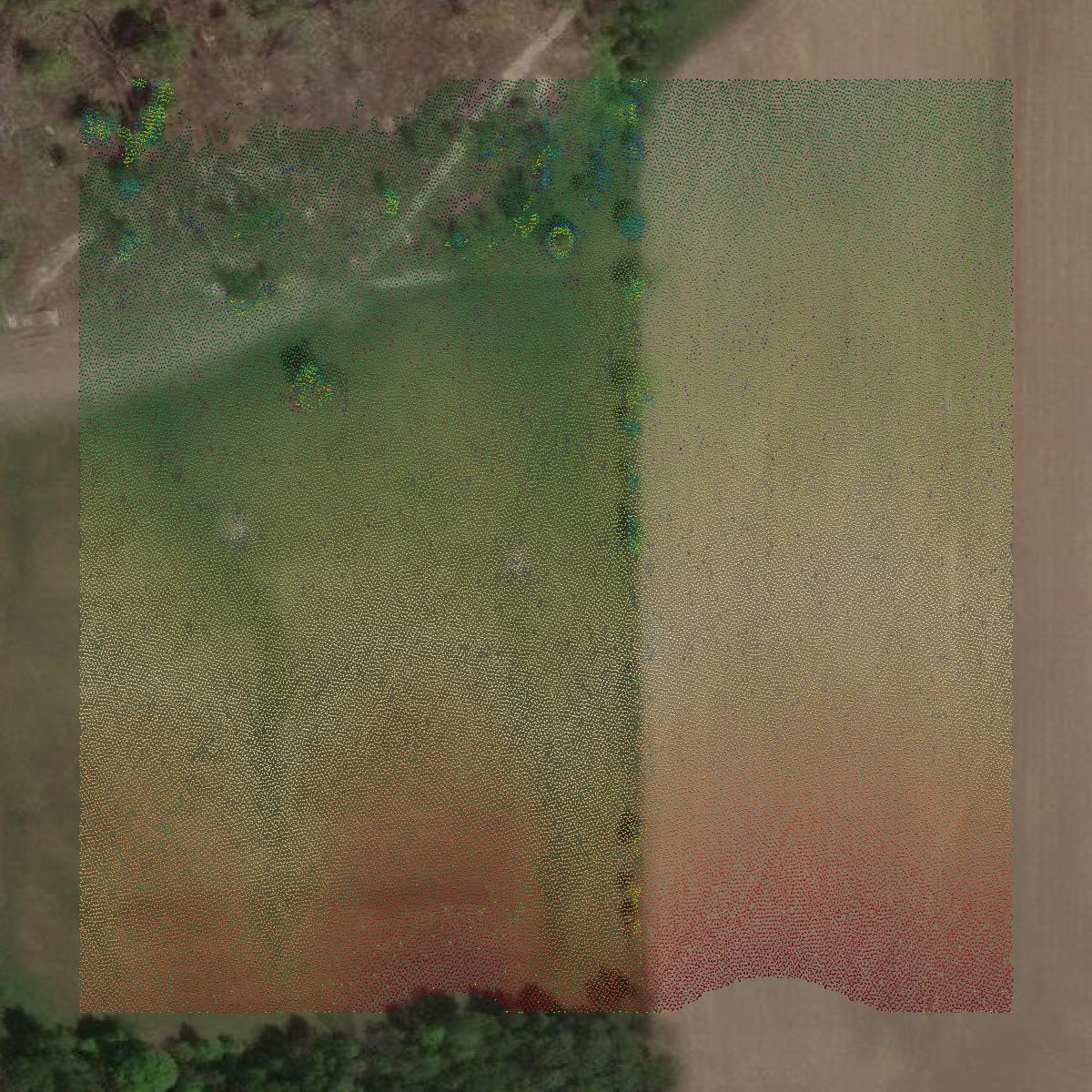 This image shows a LiDAR point cloud in Alpena County created using GIS data in Equator.