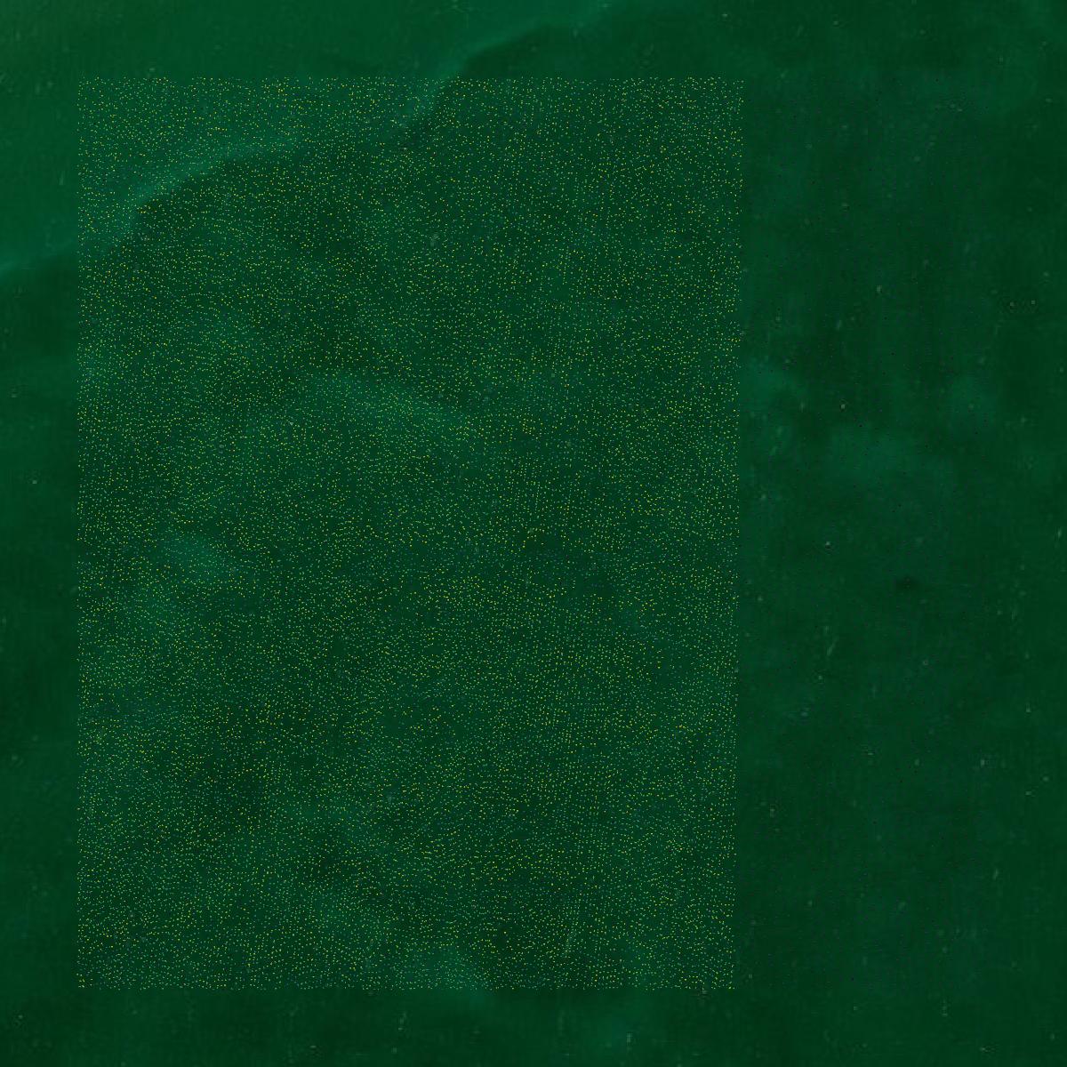 This image shows a LiDAR point cloud in Arenac County created using GIS data in Equator.