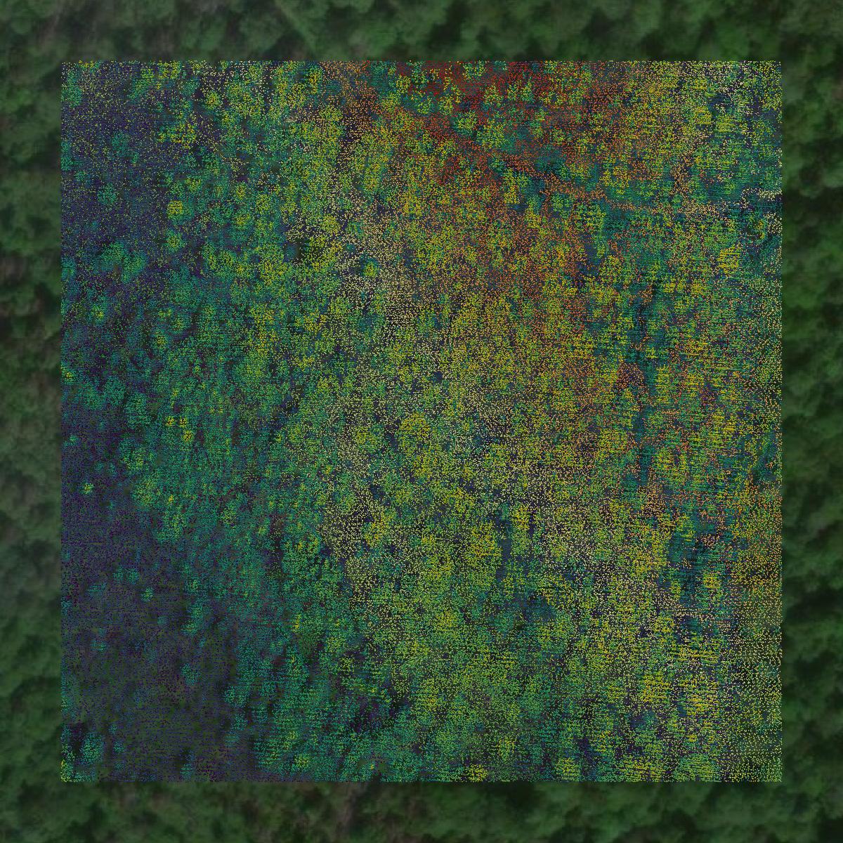 This image shows a LiDAR point cloud in Baraga County created using GIS data in Equator.