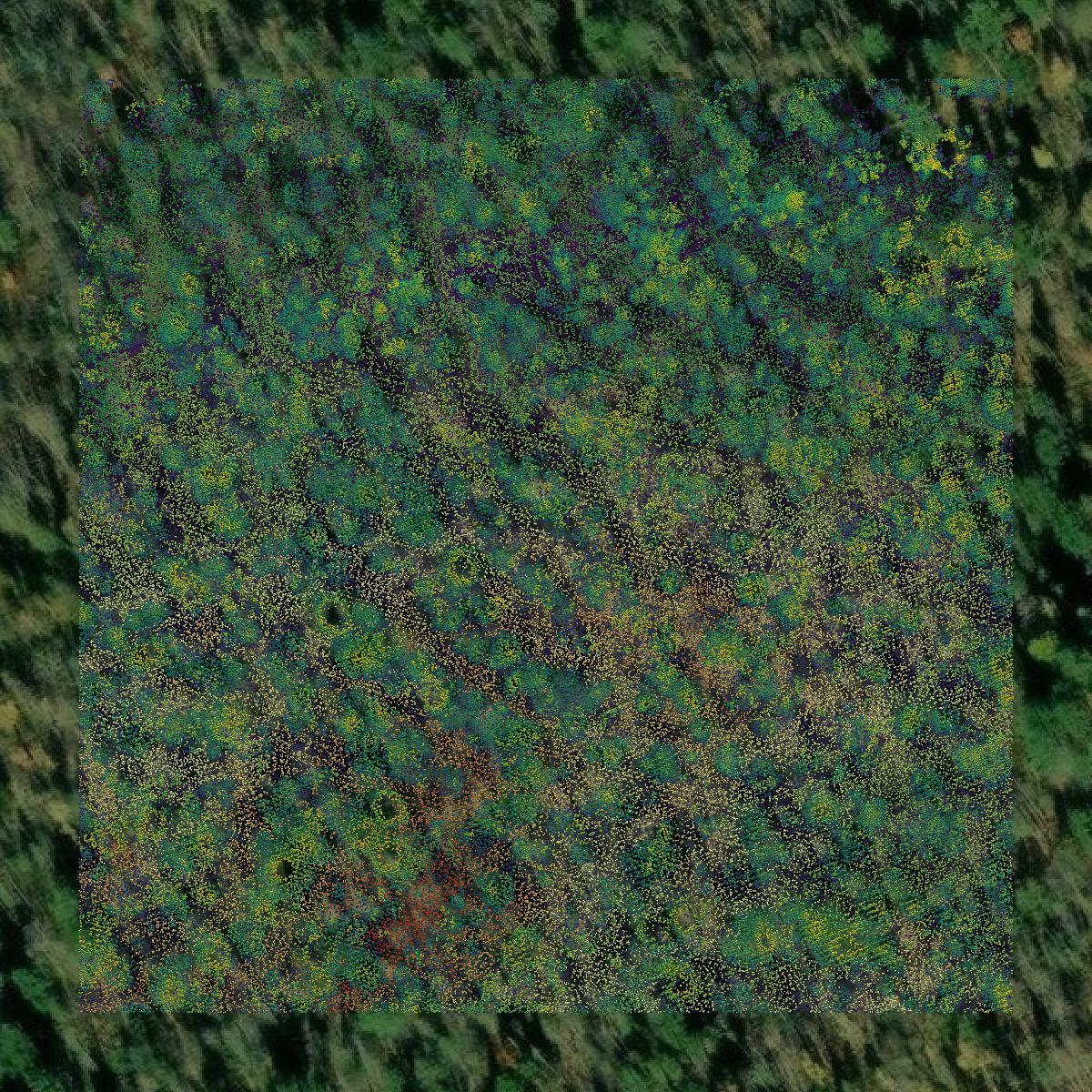 This image shows a LiDAR point cloud in Baraga County created using GIS data in Equator.