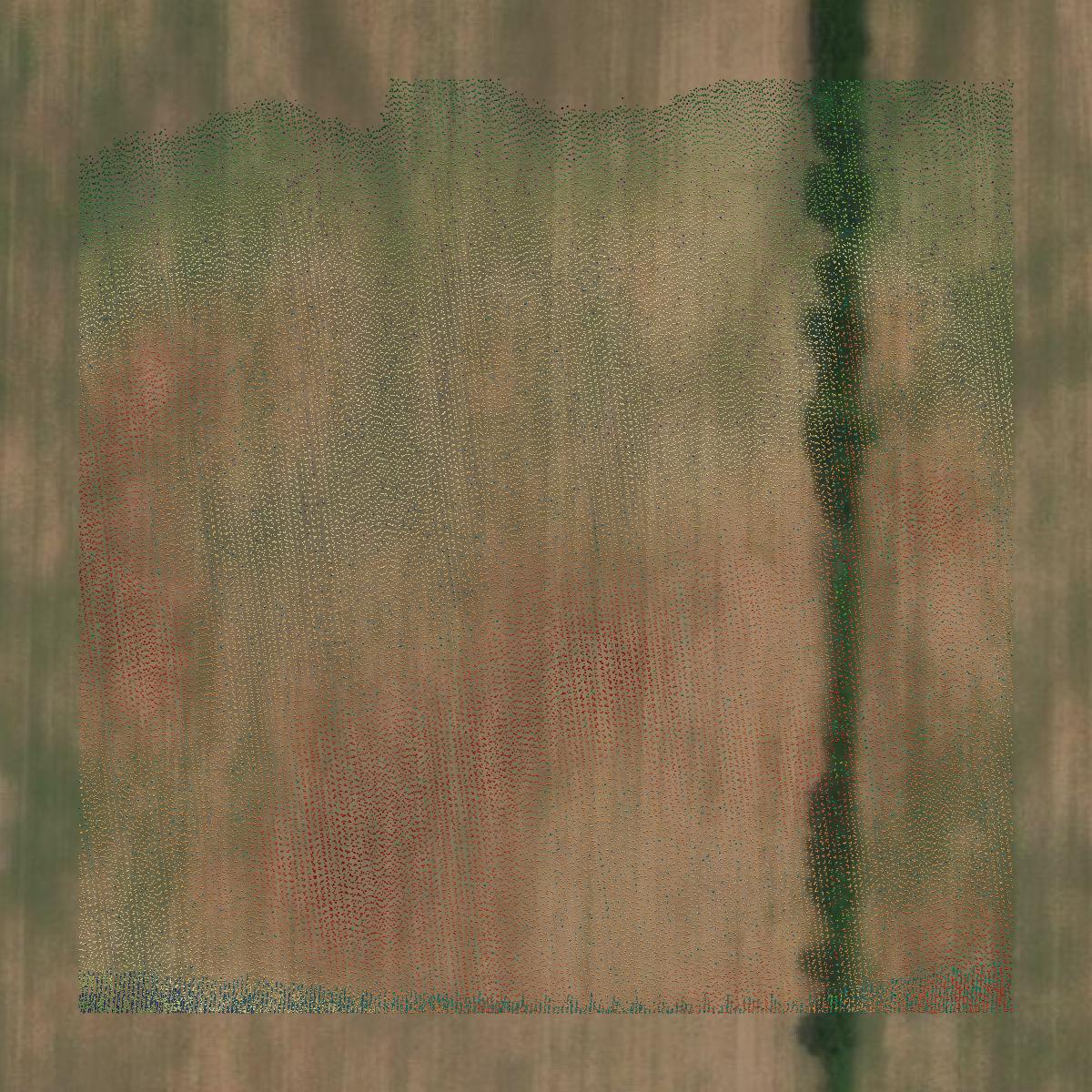 This image shows a LiDAR point cloud in Barry County created using GIS data in Equator.