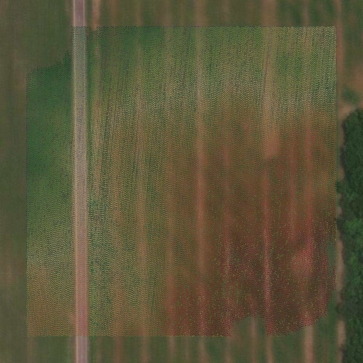 This image shows a LiDAR point cloud in Barry County created using GIS data in Equator.