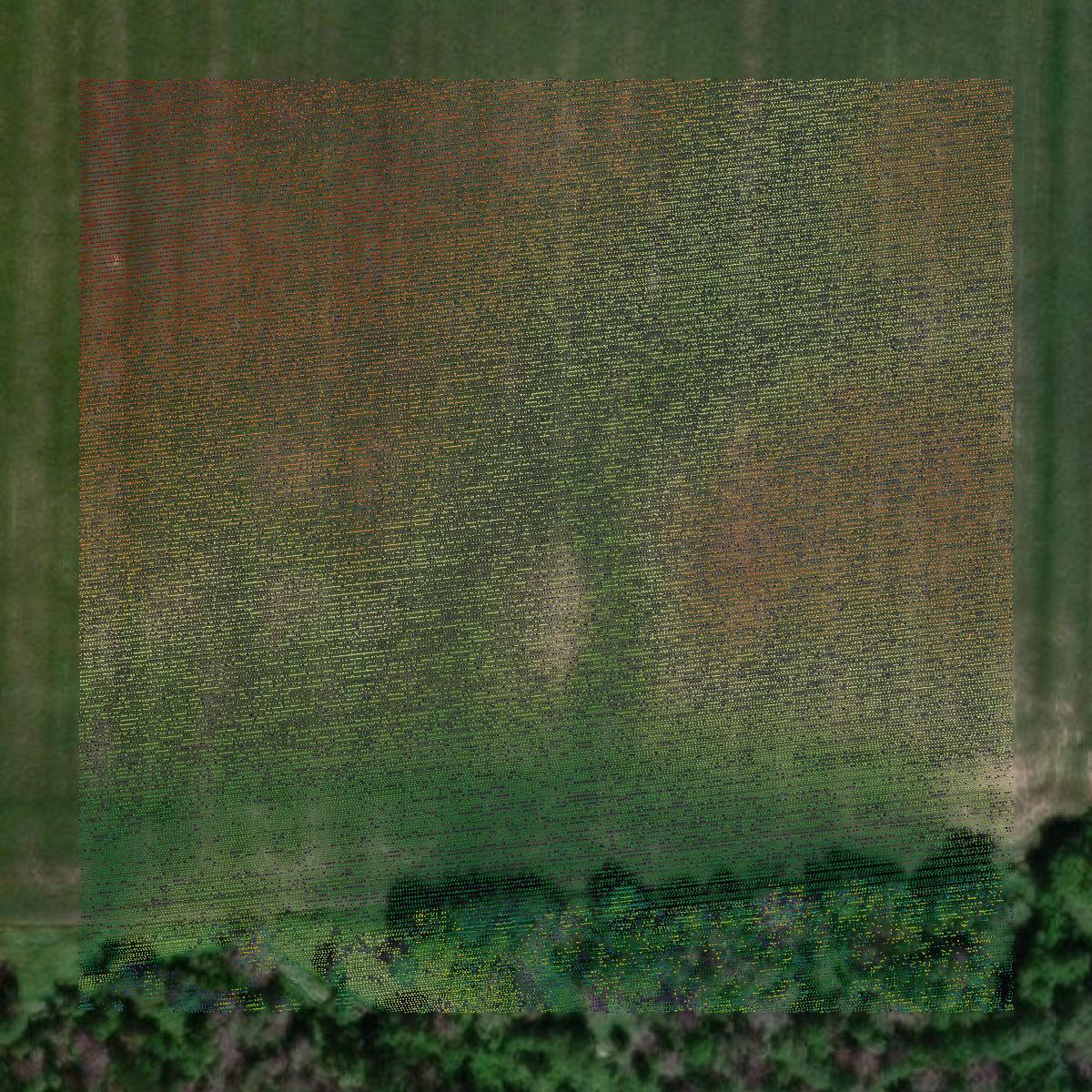 This image shows a LiDAR point cloud in Bay County created using GIS data in Equator.