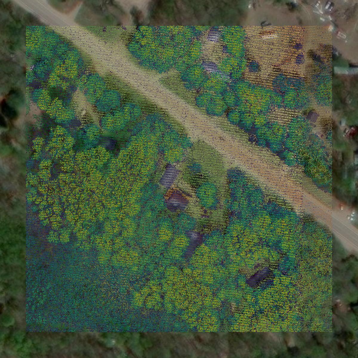 This image shows a LiDAR point cloud in Benzie County created using GIS data in Equator.