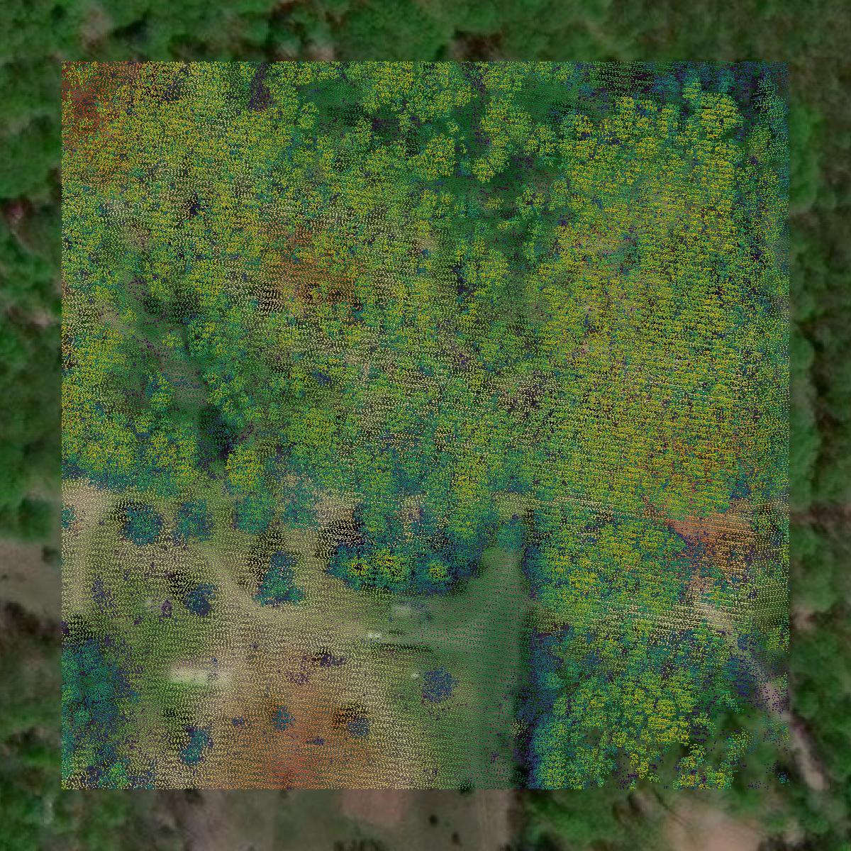 This image shows a LiDAR point cloud in Benzie County created using GIS data in Equator.