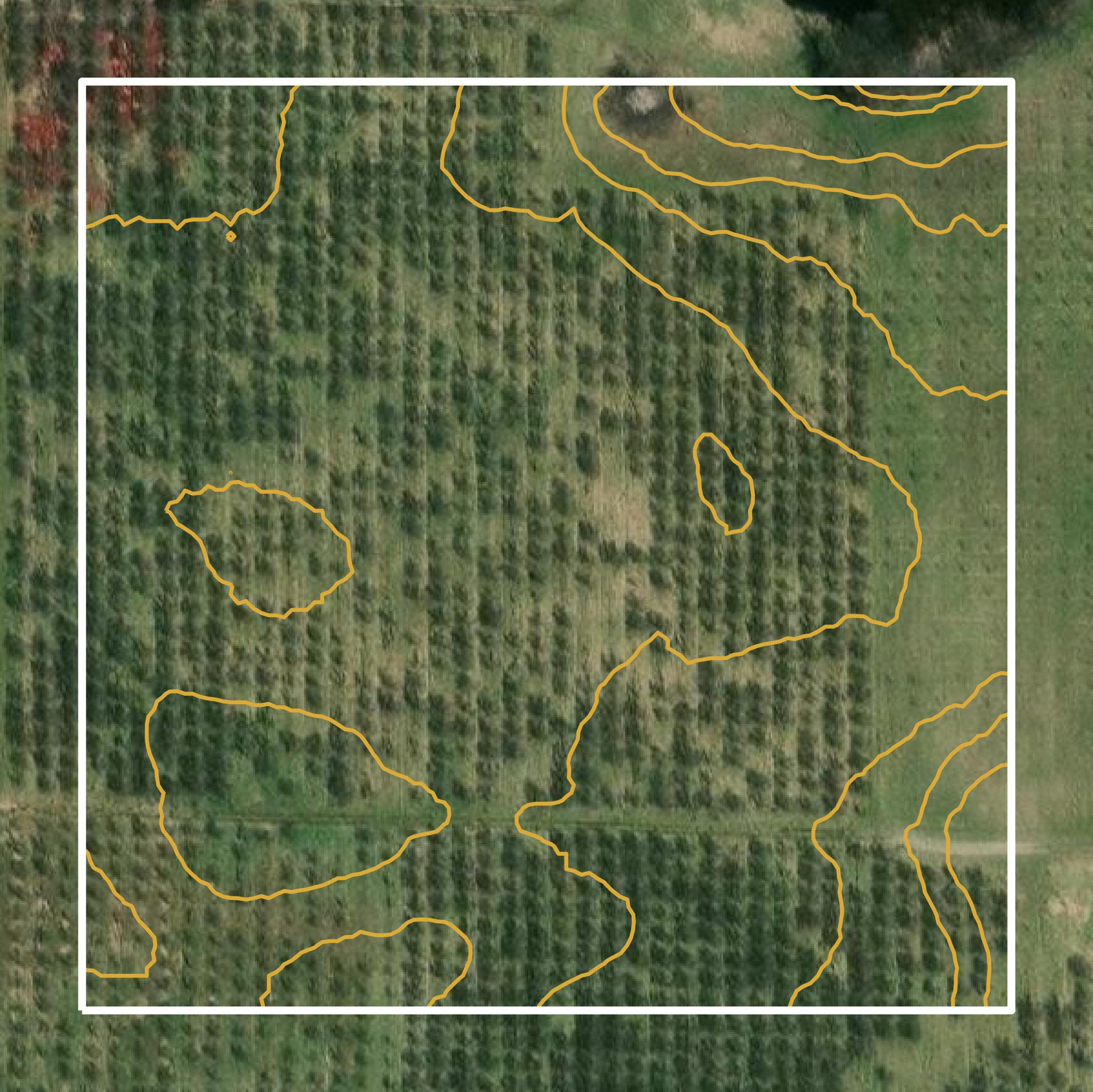 This image shows a contour map in Berrien County created using GIS data in Equator.