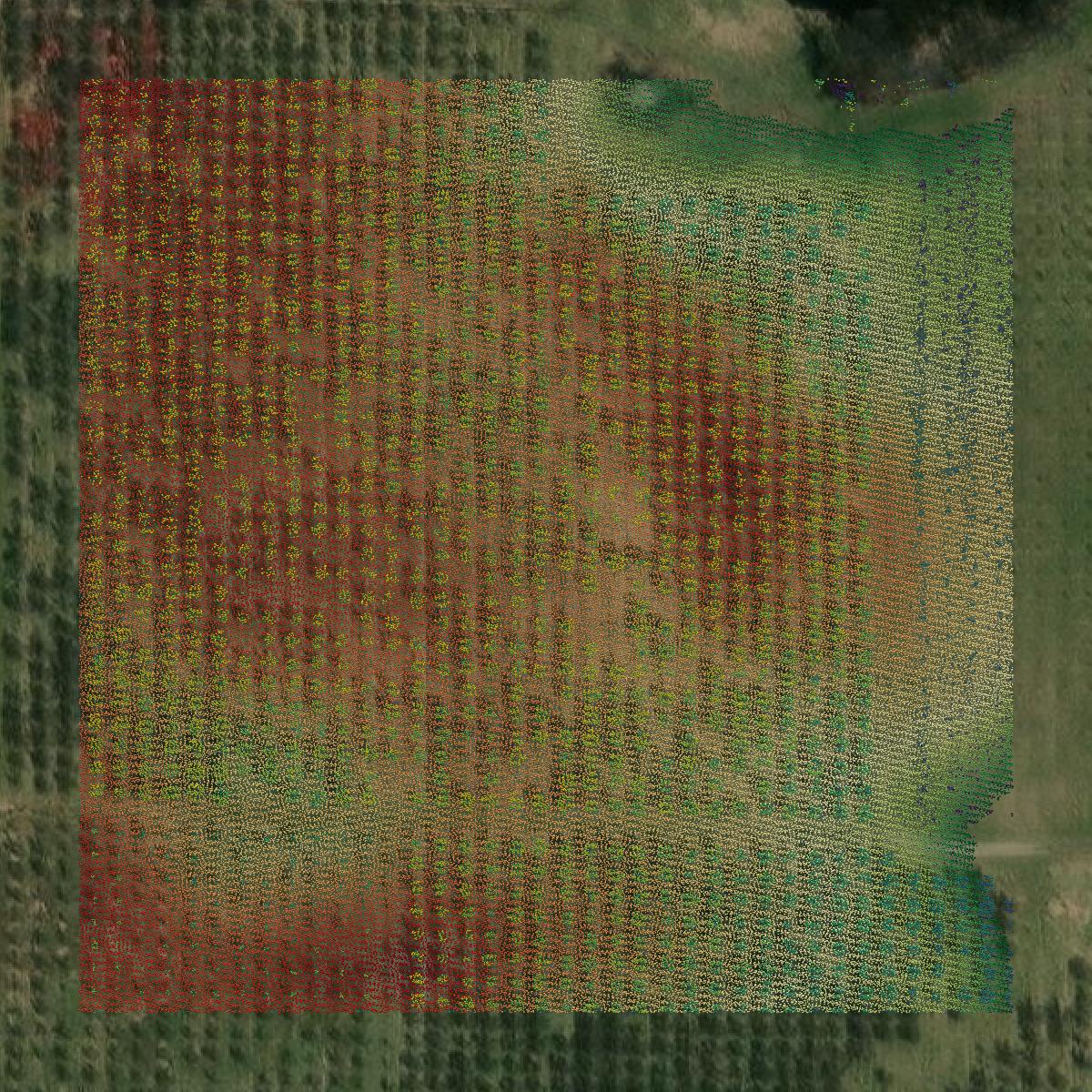 This image shows a LiDAR point cloud in Berrien County created using GIS data in Equator.