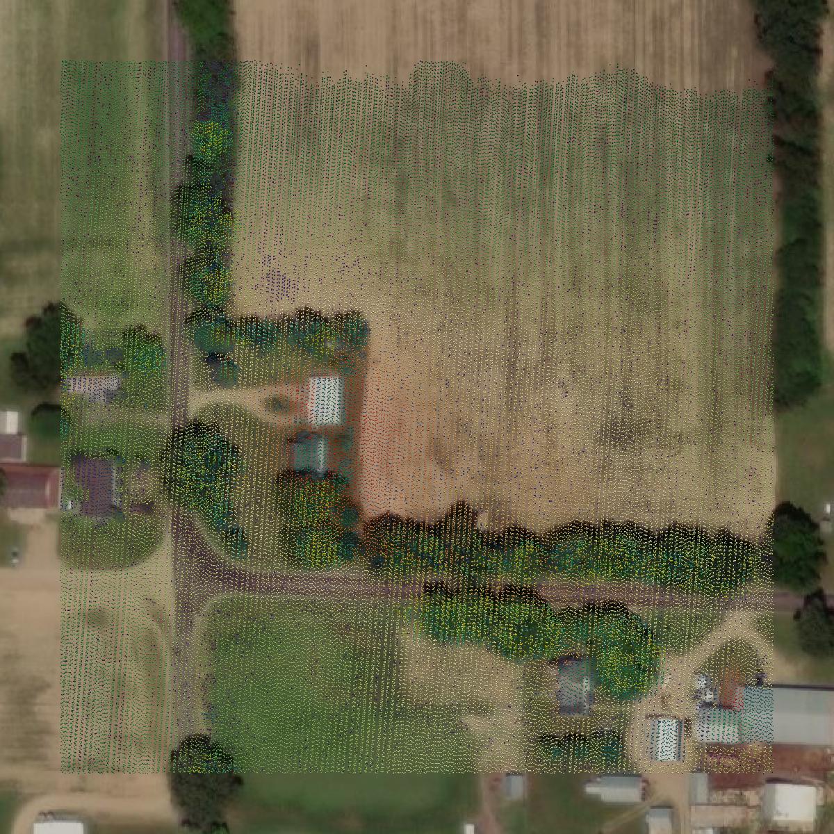 This image shows a LiDAR point cloud in Calhoun County created using GIS data in Equator.