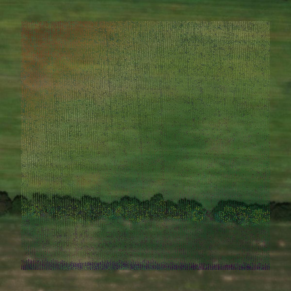 This image shows a LiDAR point cloud in Calhoun County created using GIS data in Equator.