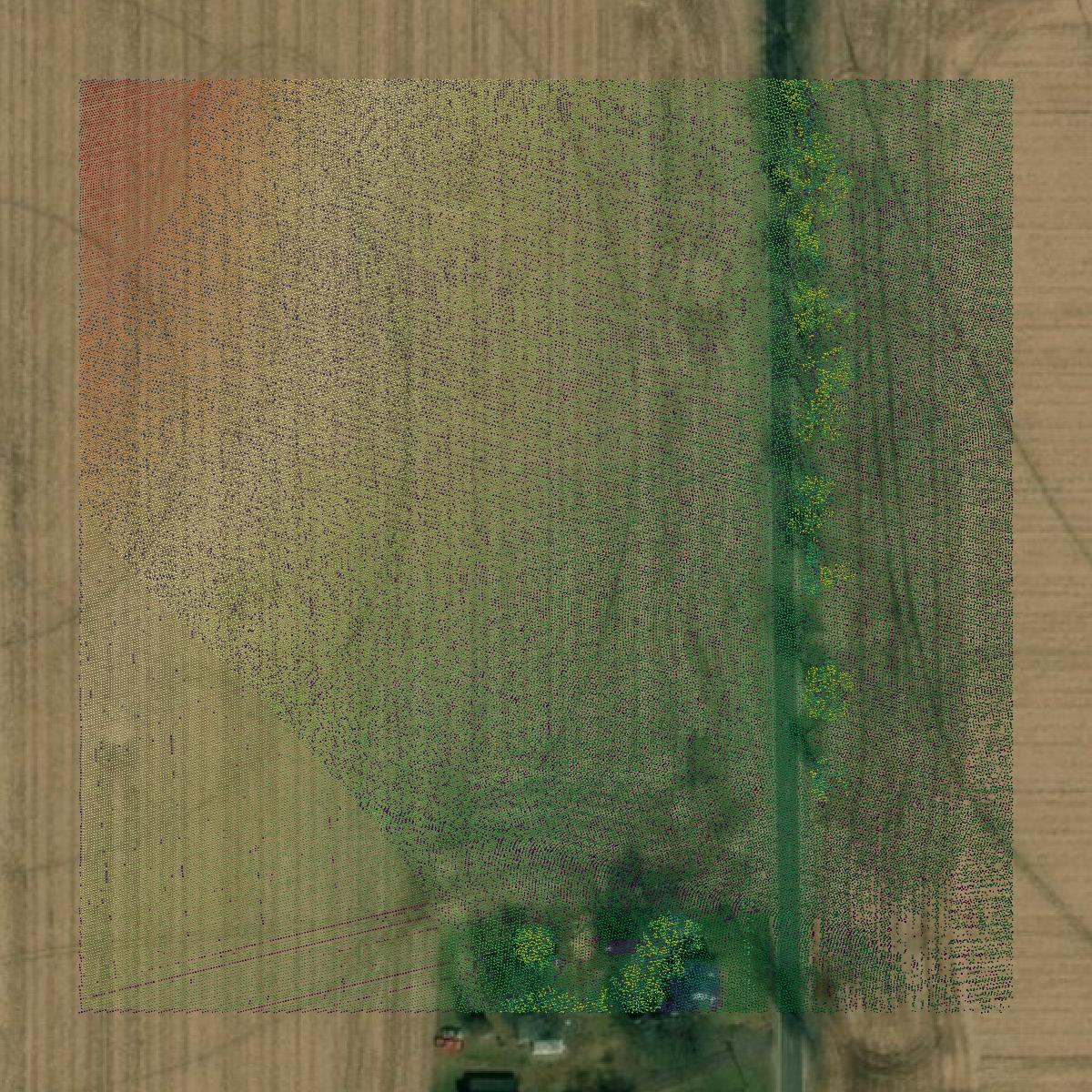 This image shows a LiDAR point cloud in Cass County created using GIS data in Equator.