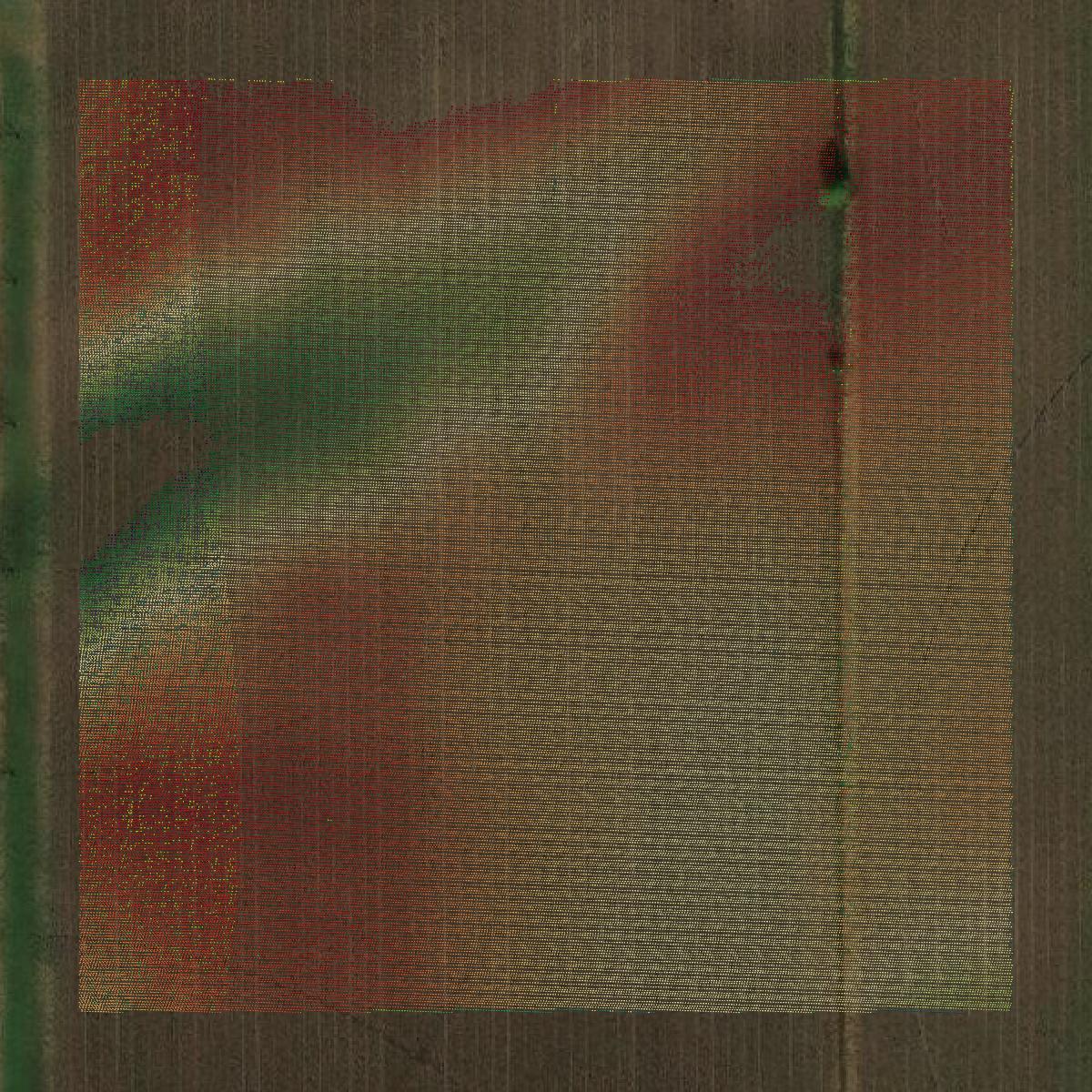 This image shows a LiDAR point cloud in Cass County created using GIS data in Equator.