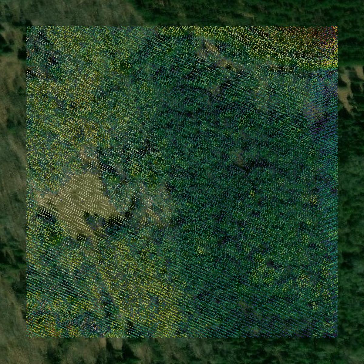 This image shows a LiDAR point cloud in Cheboygan County created using GIS data in Equator.