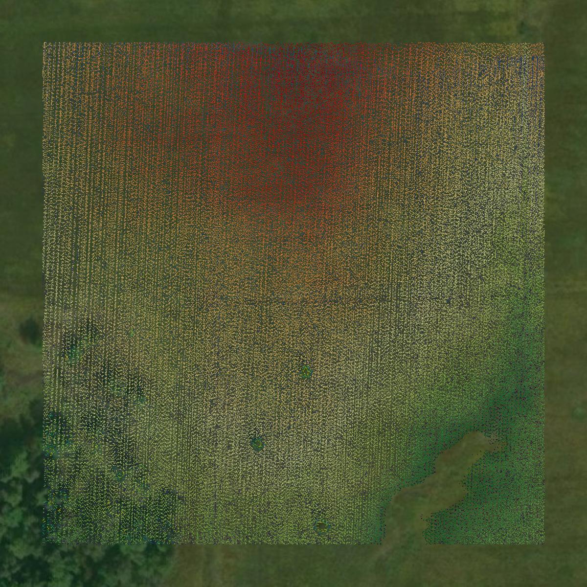This image shows a LiDAR point cloud in Chippewa County created using GIS data in Equator.