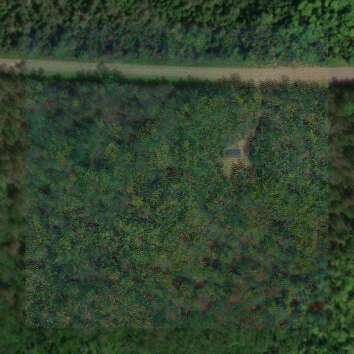 This image shows a LiDAR point cloud in Chippewa County created using GIS data in Equator.