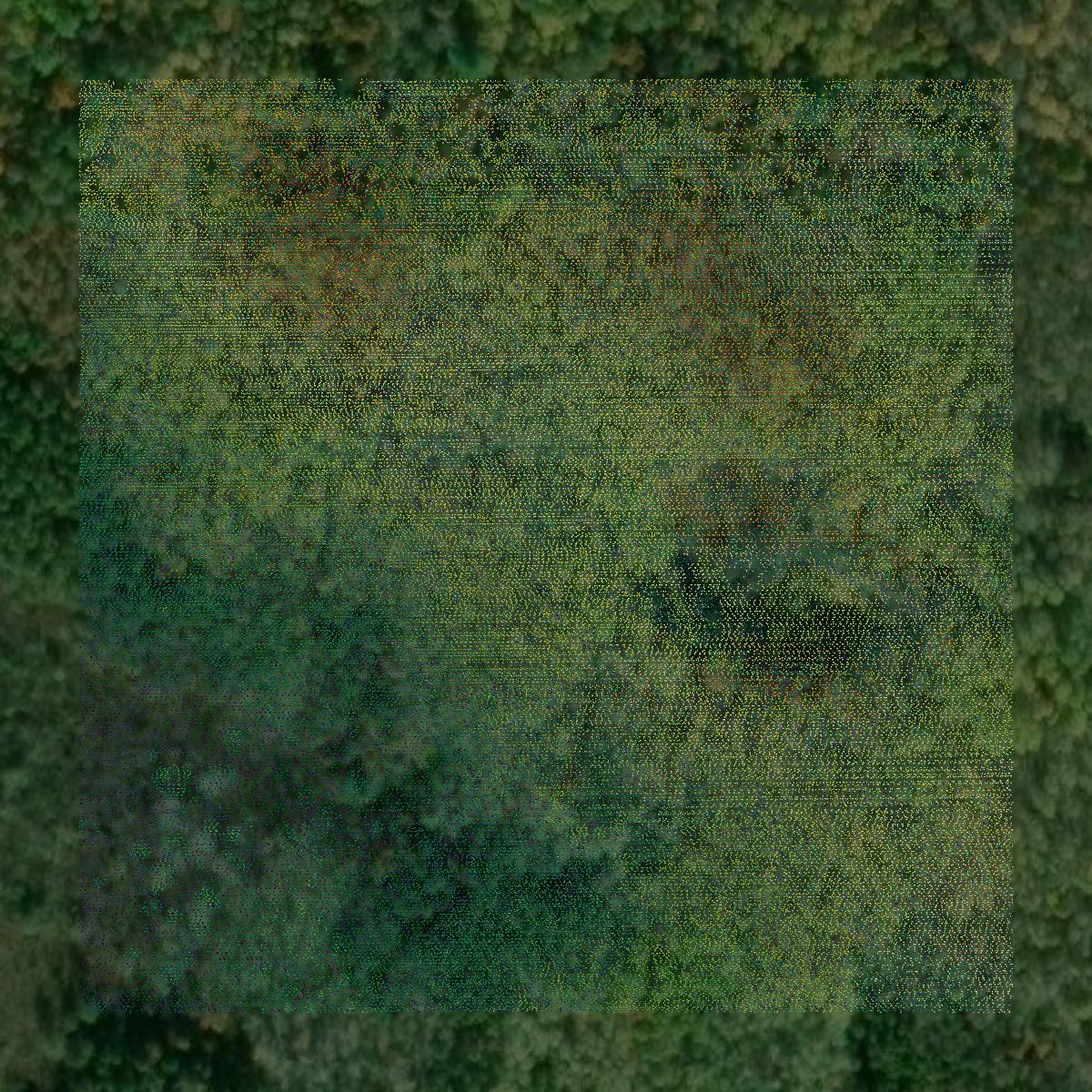 This image shows a LiDAR point cloud in Clare County created using GIS data in Equator.