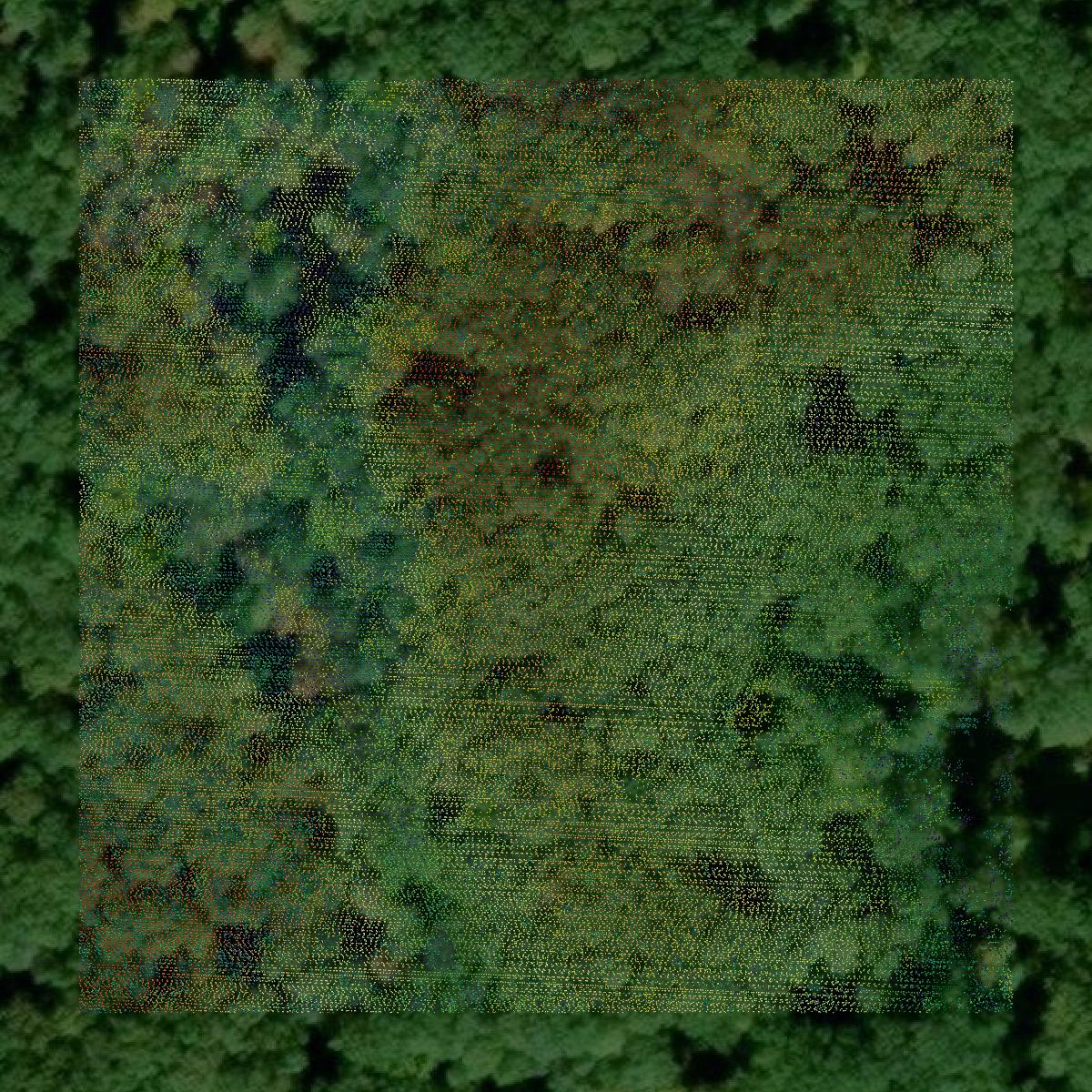 This image shows a LiDAR point cloud in Clare County created using GIS data in Equator.