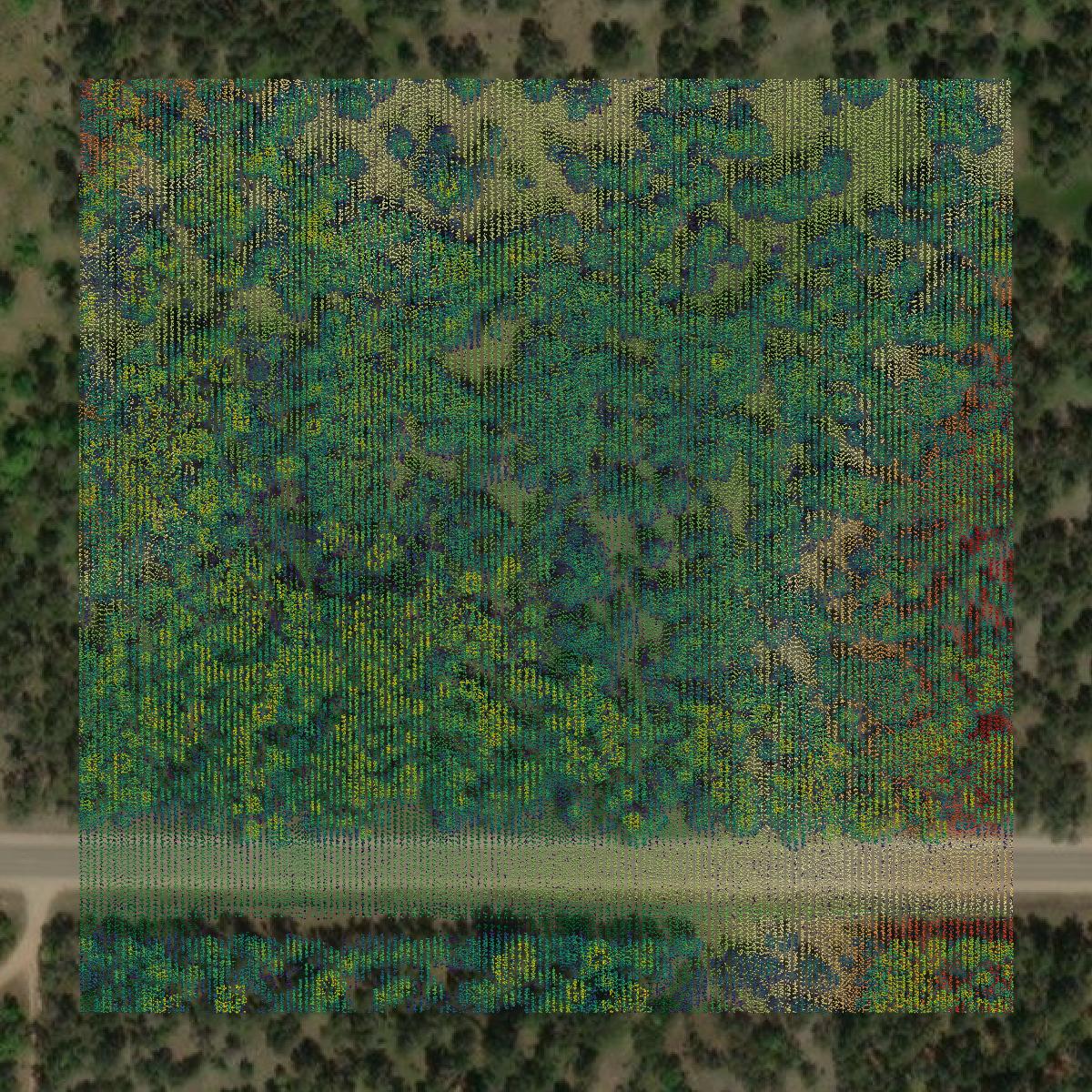 This image shows a LiDAR point cloud in Crawford County created using GIS data in Equator.