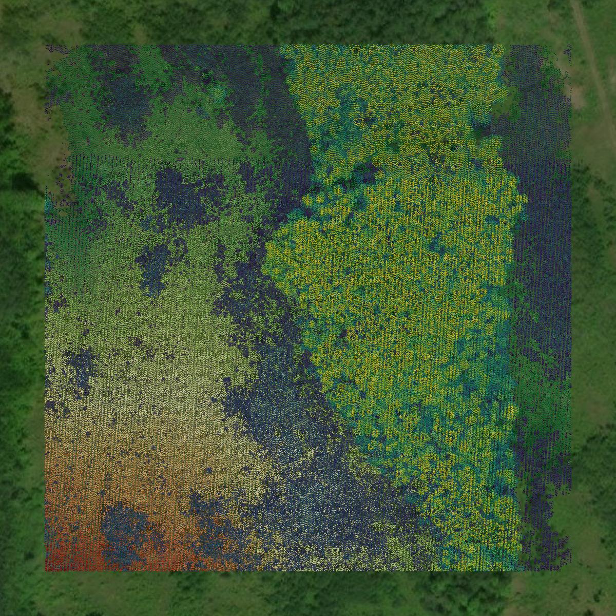 This image shows a LiDAR point cloud in Crawford County created using GIS data in Equator.