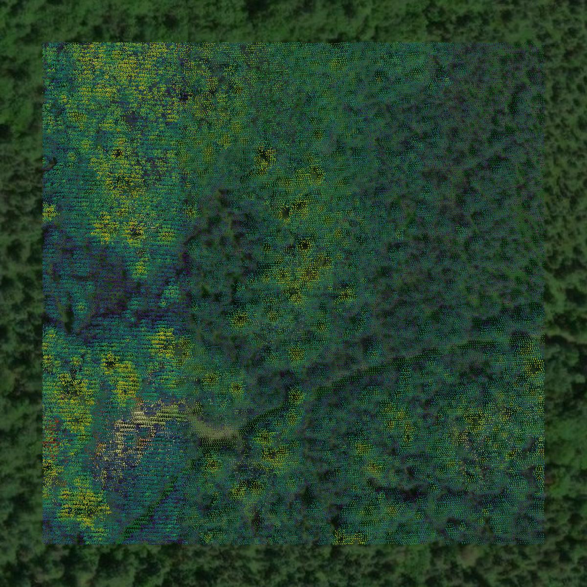 This image shows a LiDAR point cloud in Delta County created using GIS data in Equator.