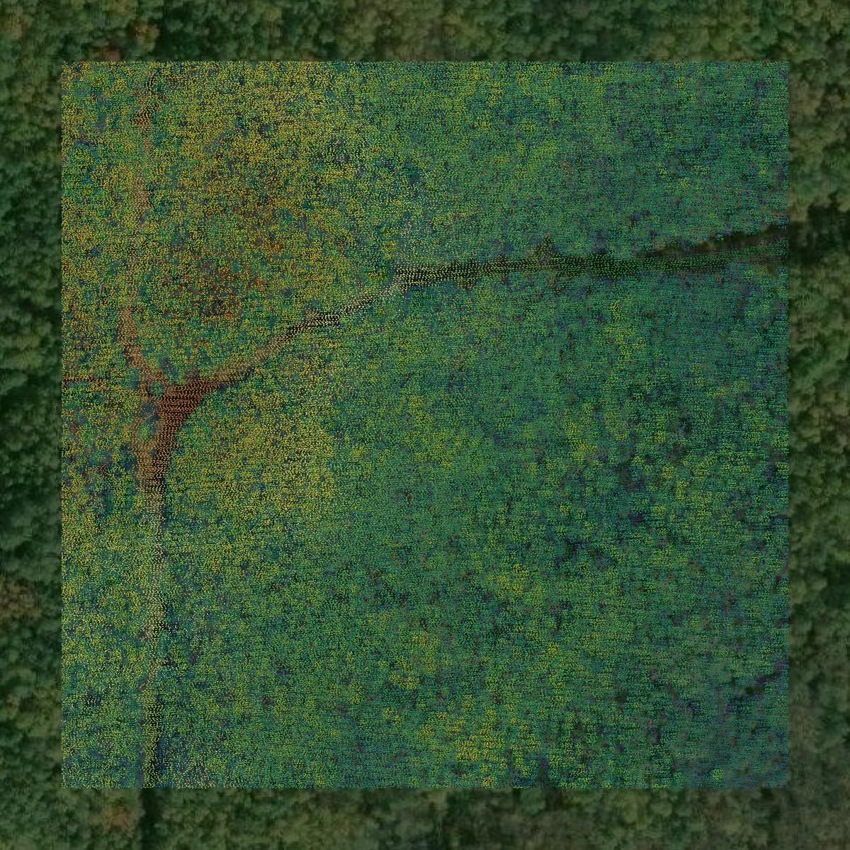 This image shows a LiDAR point cloud in Delta County created using GIS data in Equator.