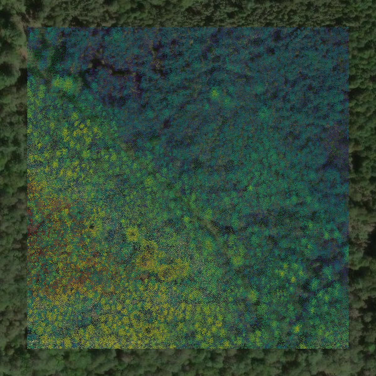 This image shows a LiDAR point cloud in Dickinson County created using GIS data in Equator.
