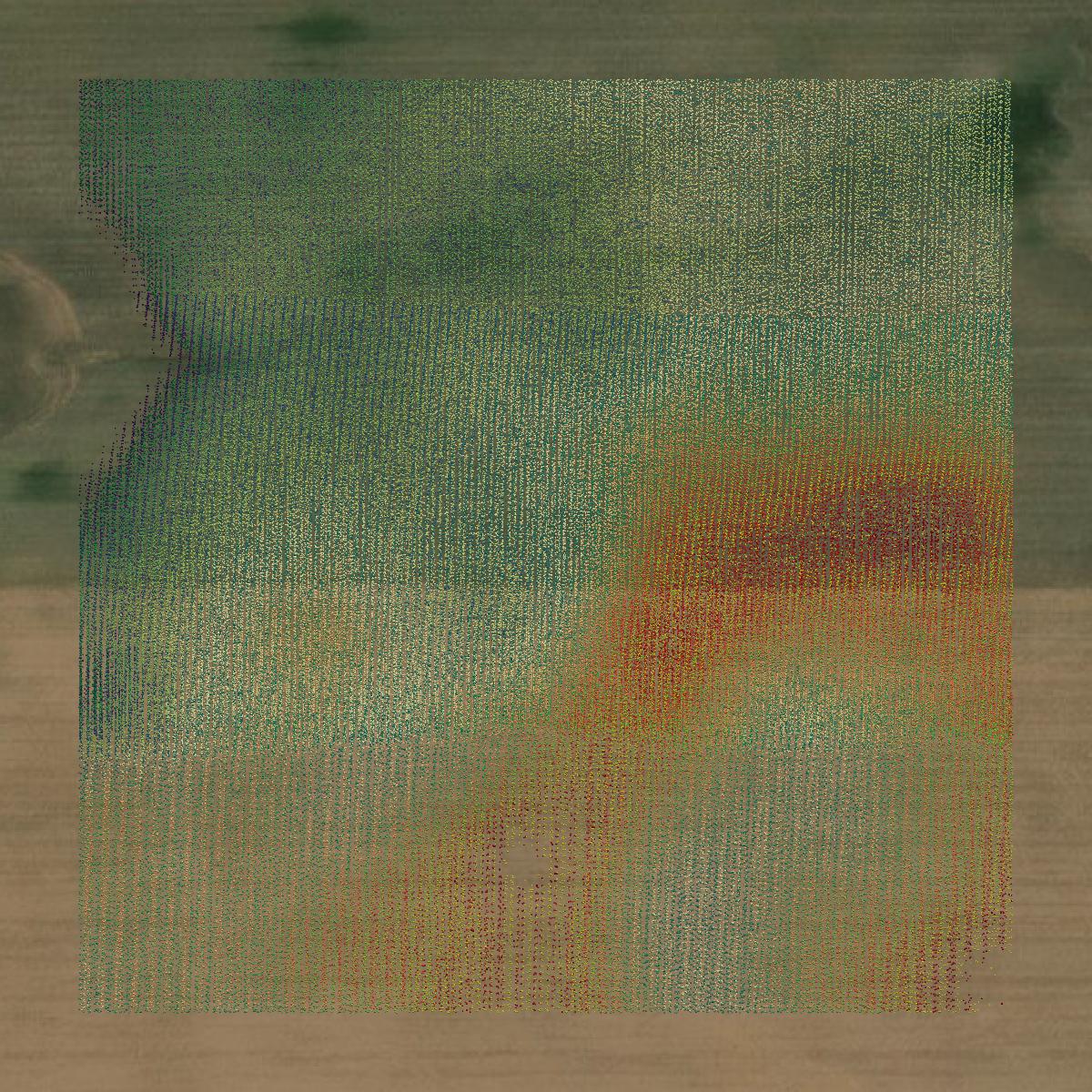 This image shows a LiDAR point cloud in Eaton County created using GIS data in Equator.