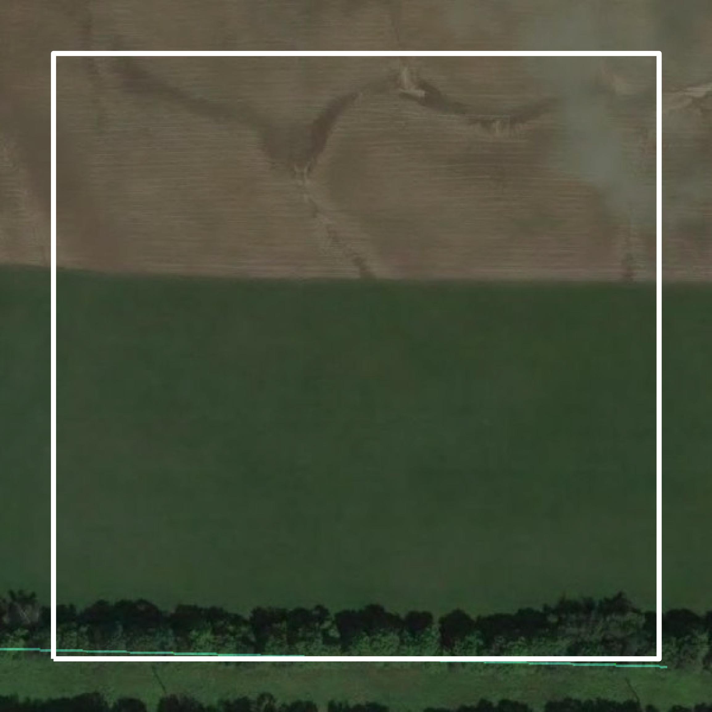 This image shows parcel and building data in Emmet County created using GIS data in Equator.