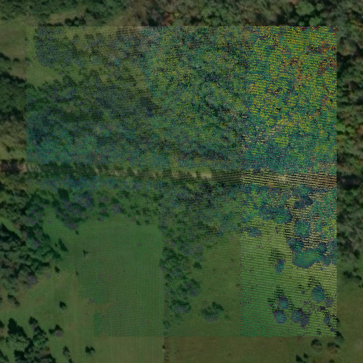 This image shows a LiDAR point cloud in Emmet County created using GIS data in Equator.