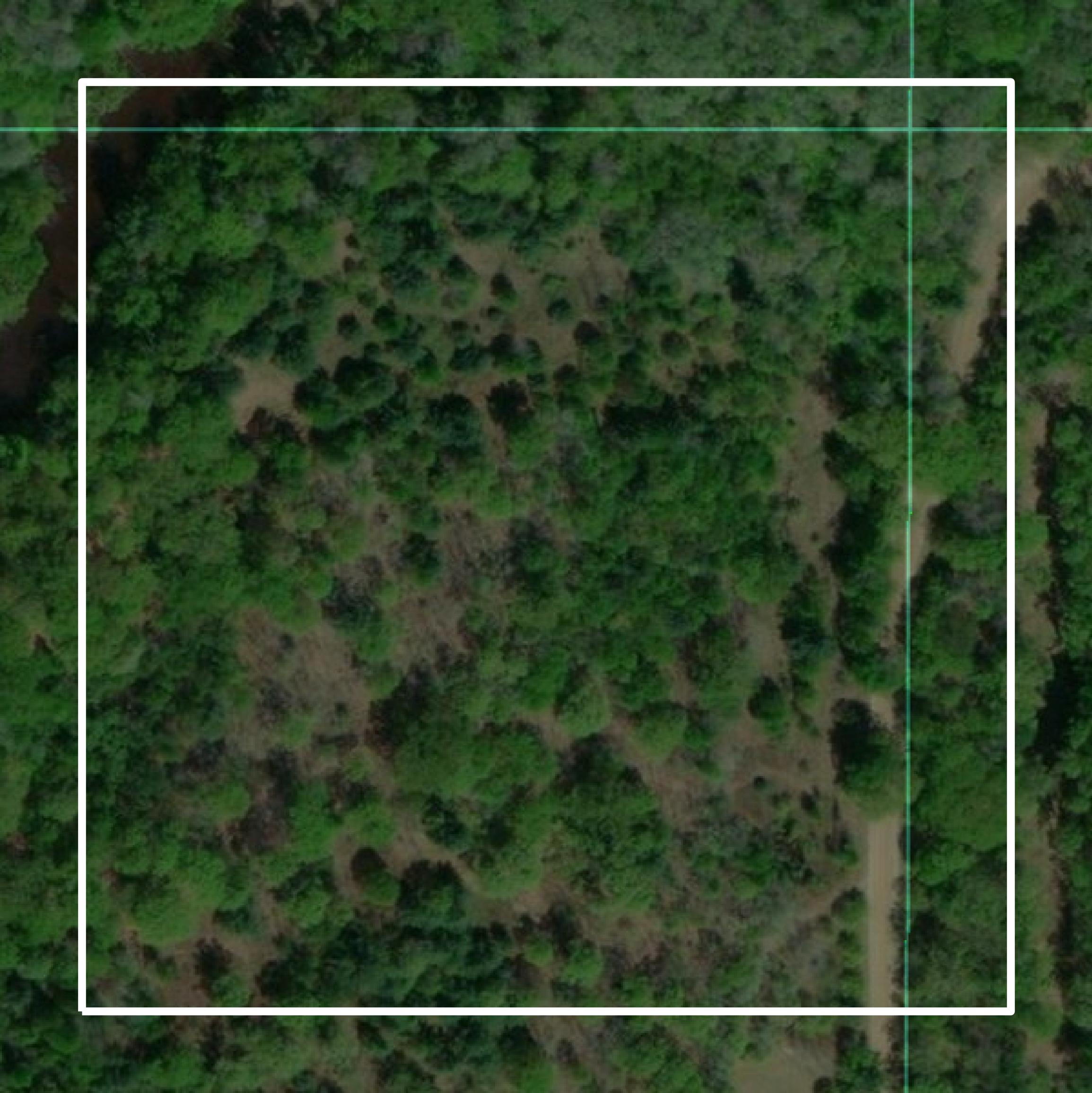 This image shows parcel and building data in Gladwin County created using GIS data in Equator.