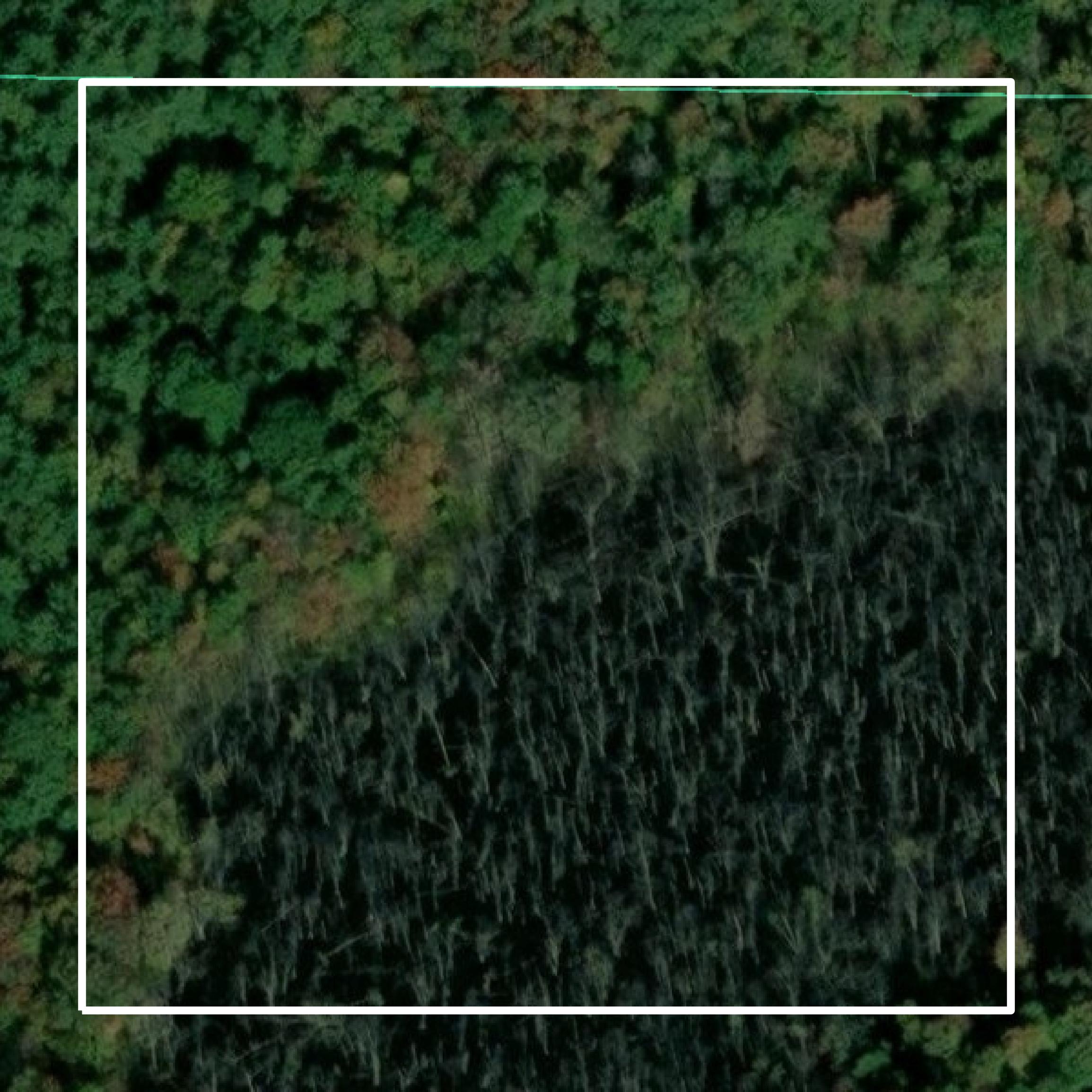 This image shows parcel and building data in Gladwin County created using GIS data in Equator.