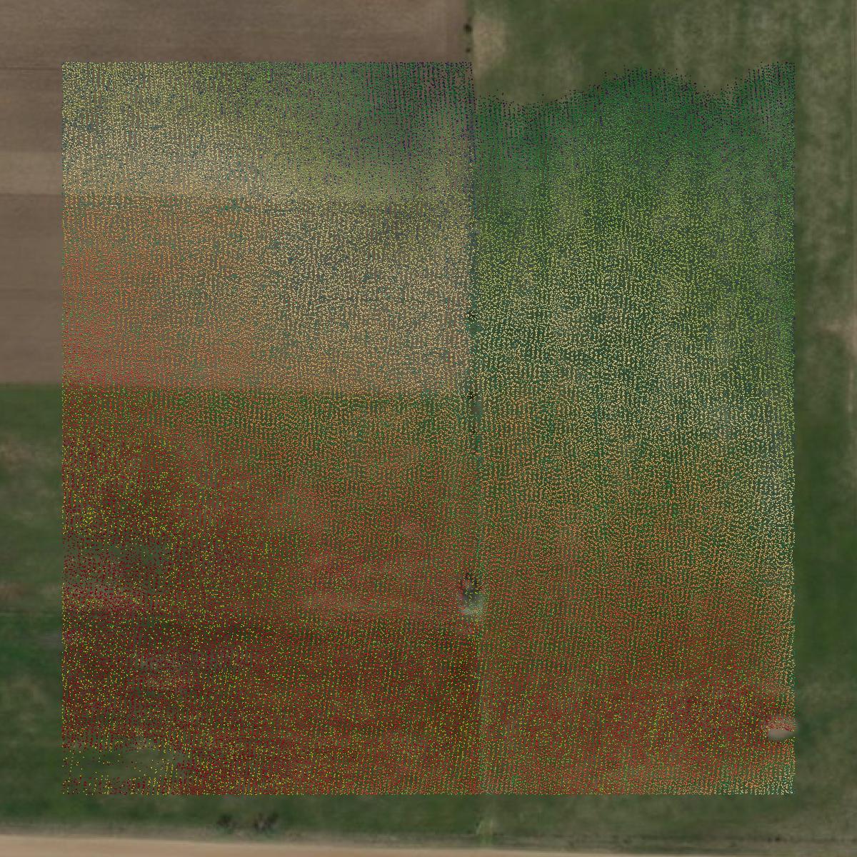 This image shows a LiDAR point cloud in Gladwin County created using GIS data in Equator.