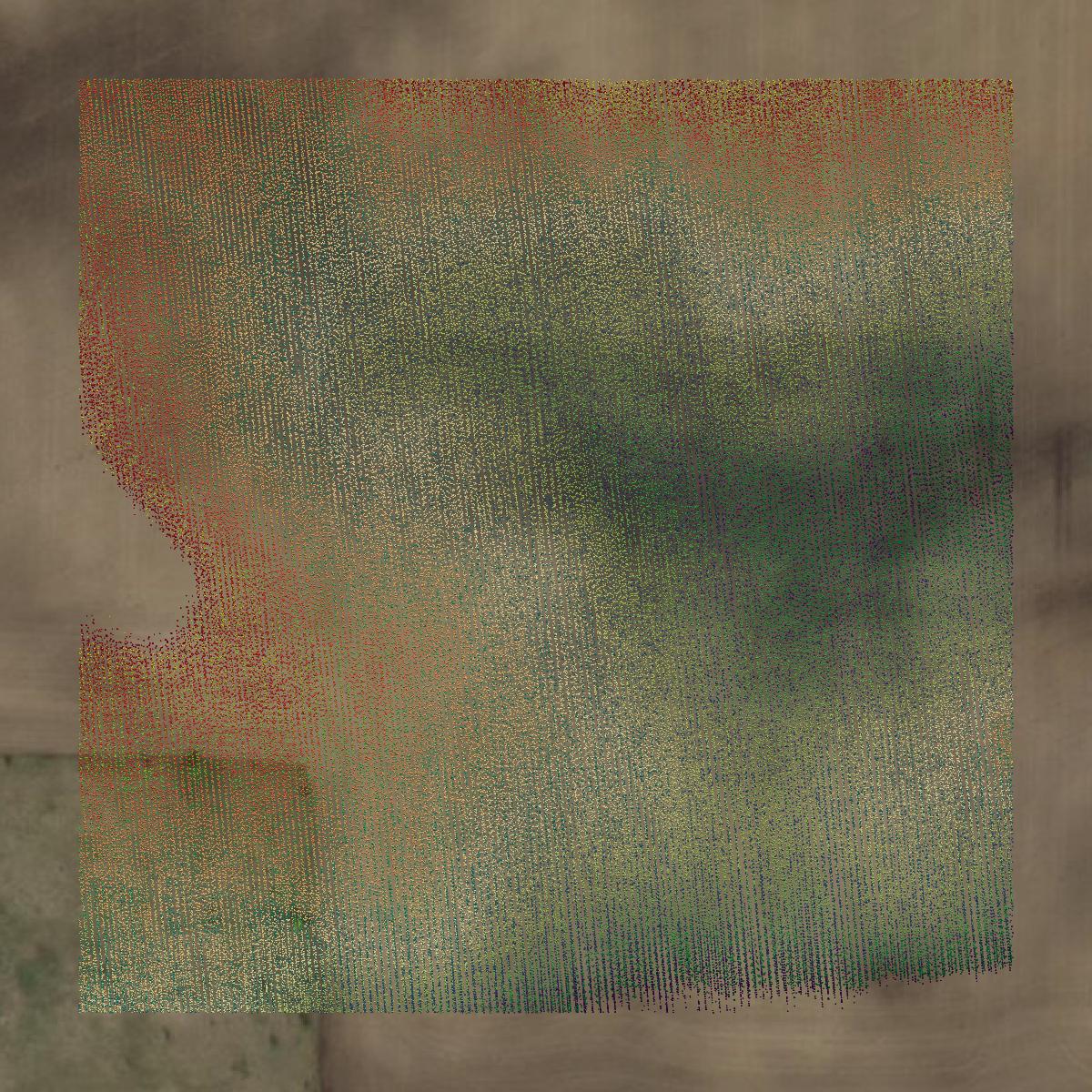 This image shows a LiDAR point cloud in Gladwin County created using GIS data in Equator.