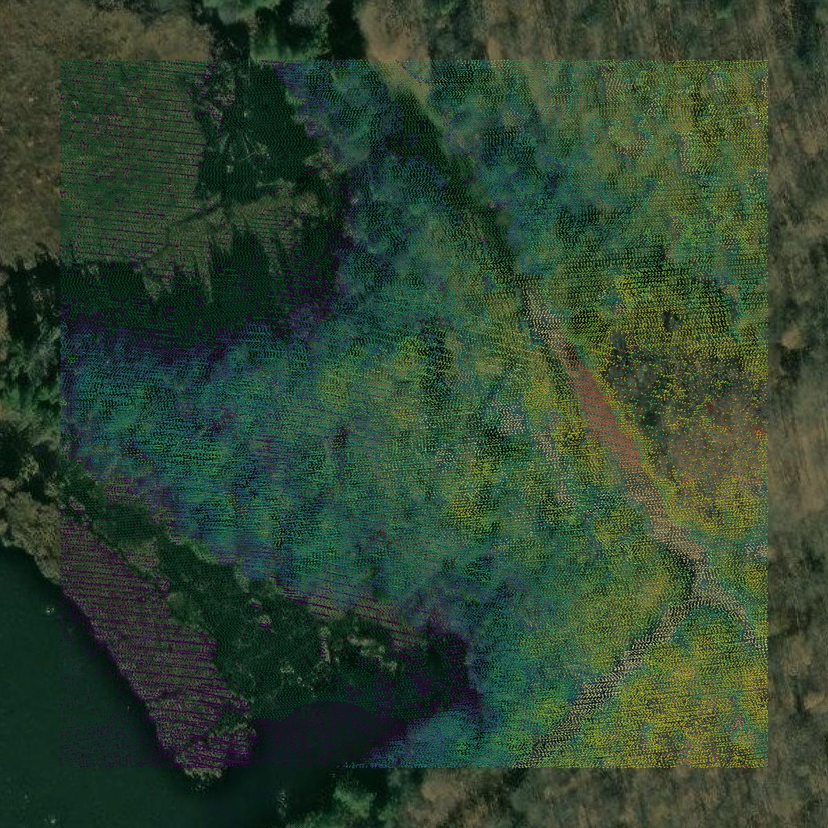This image shows a LiDAR point cloud in Gogebic County created using GIS data in Equator.